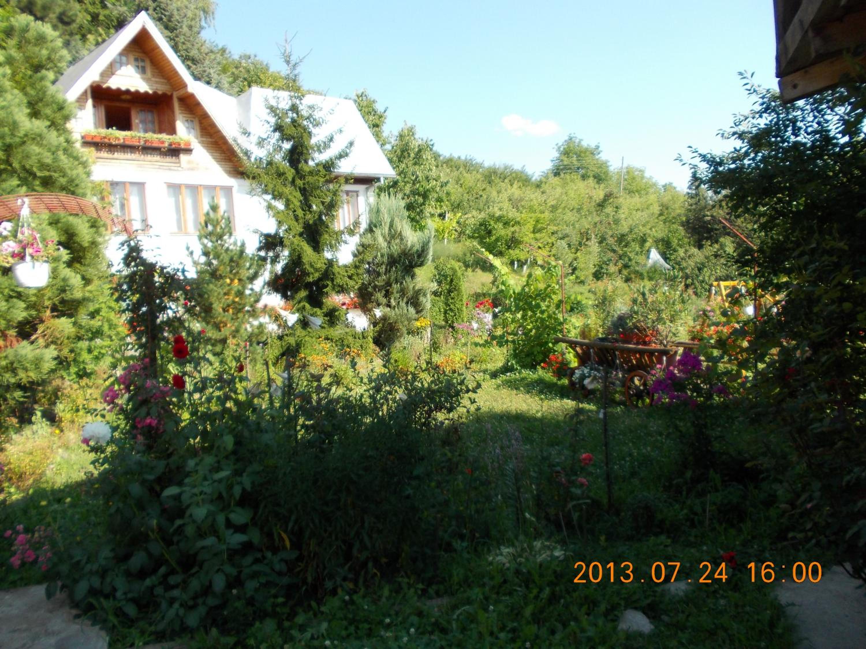 Photo 38