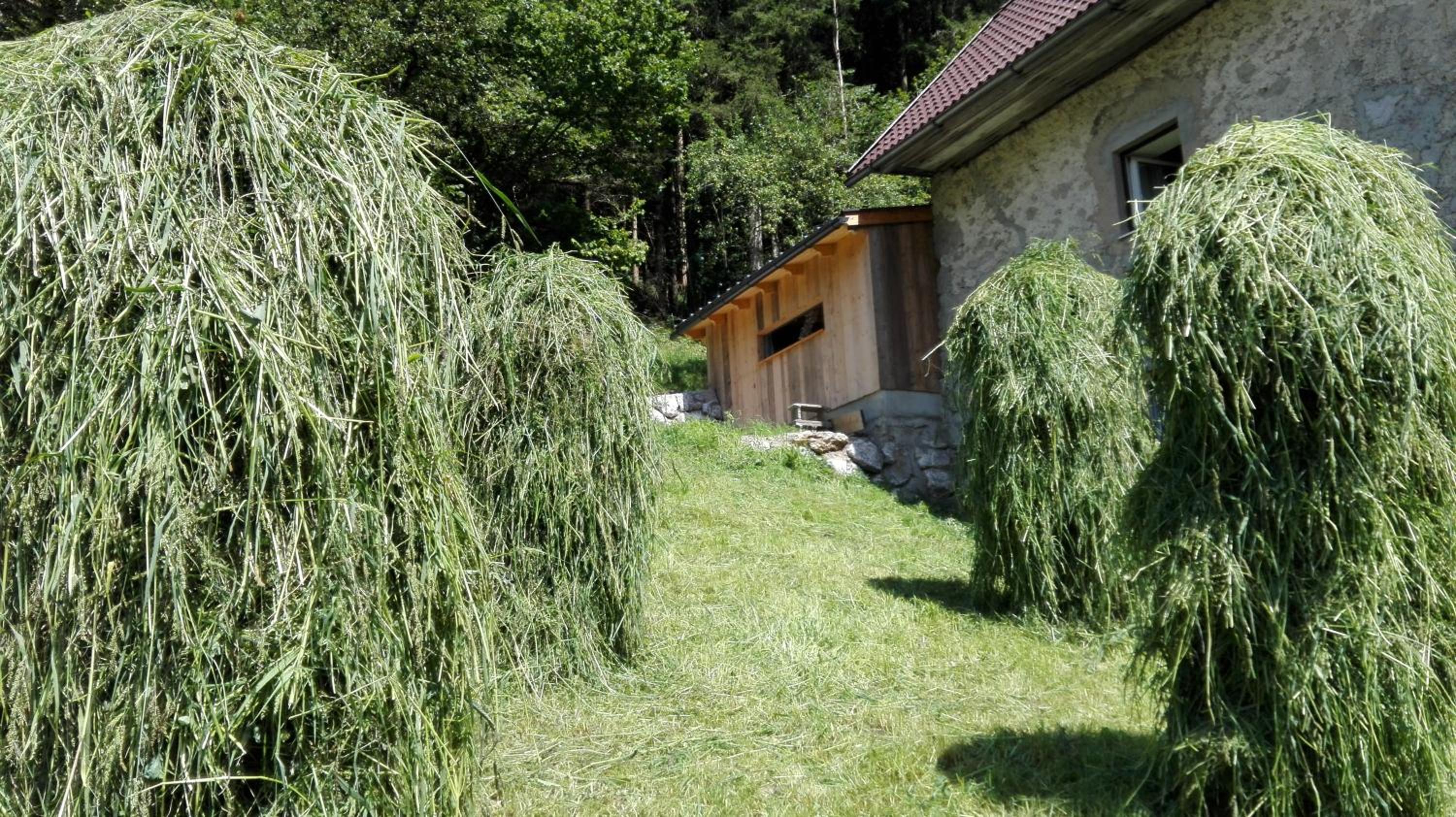 Ferienhaus Hirschnest