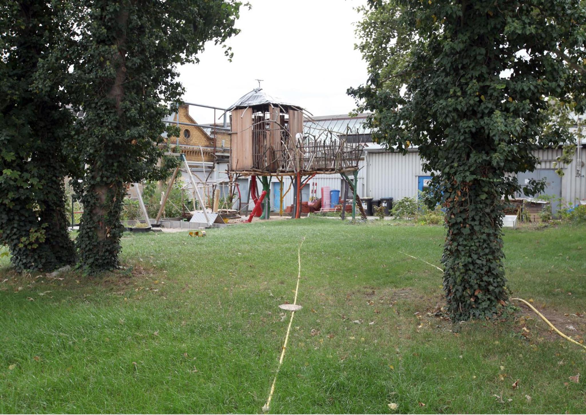Photo 7