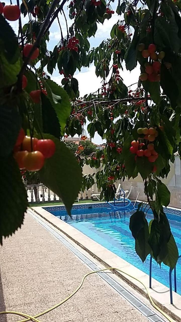 Photo 20