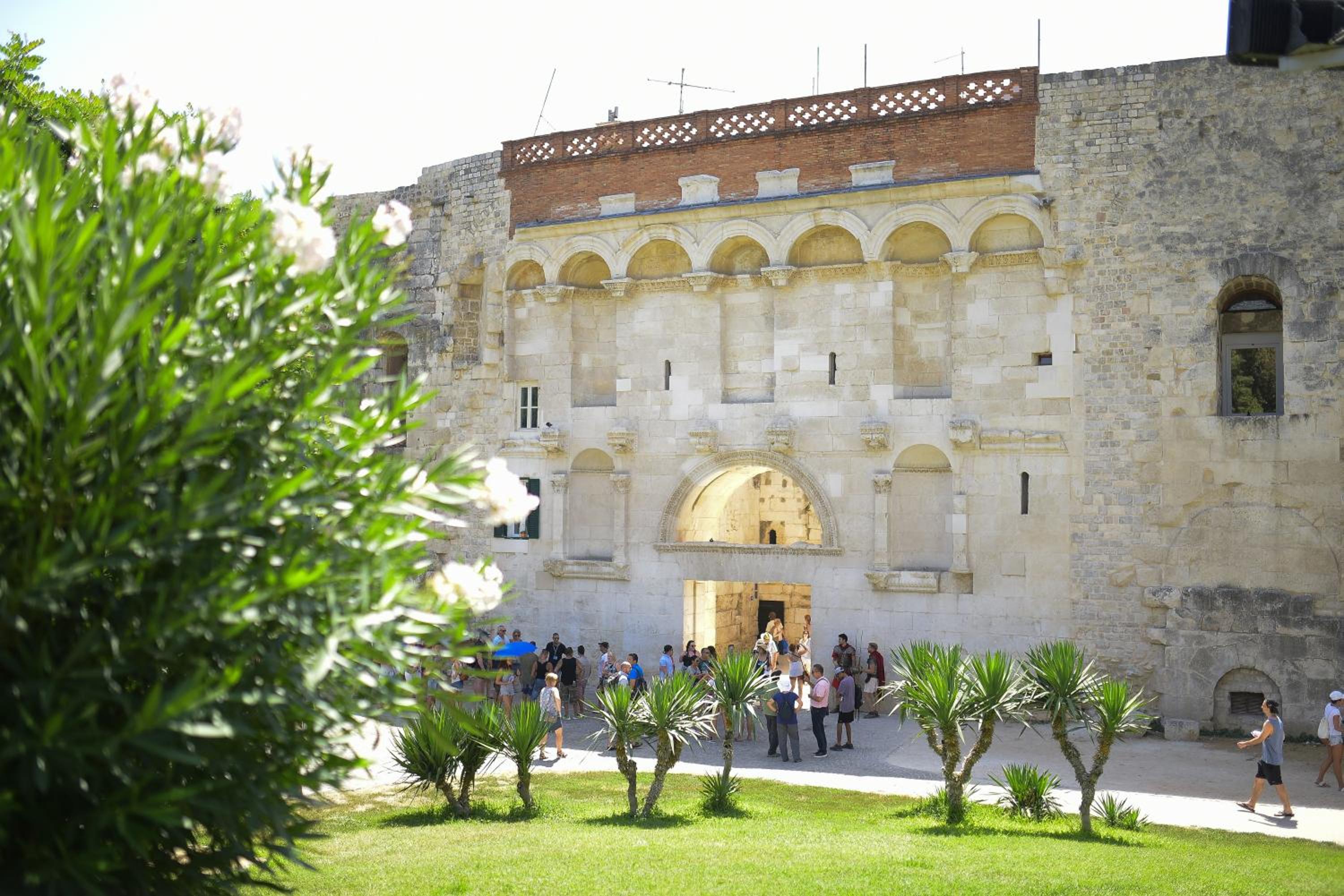 Photo 41