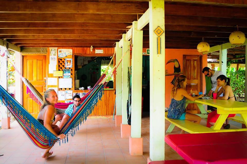 Hostel Mariposas