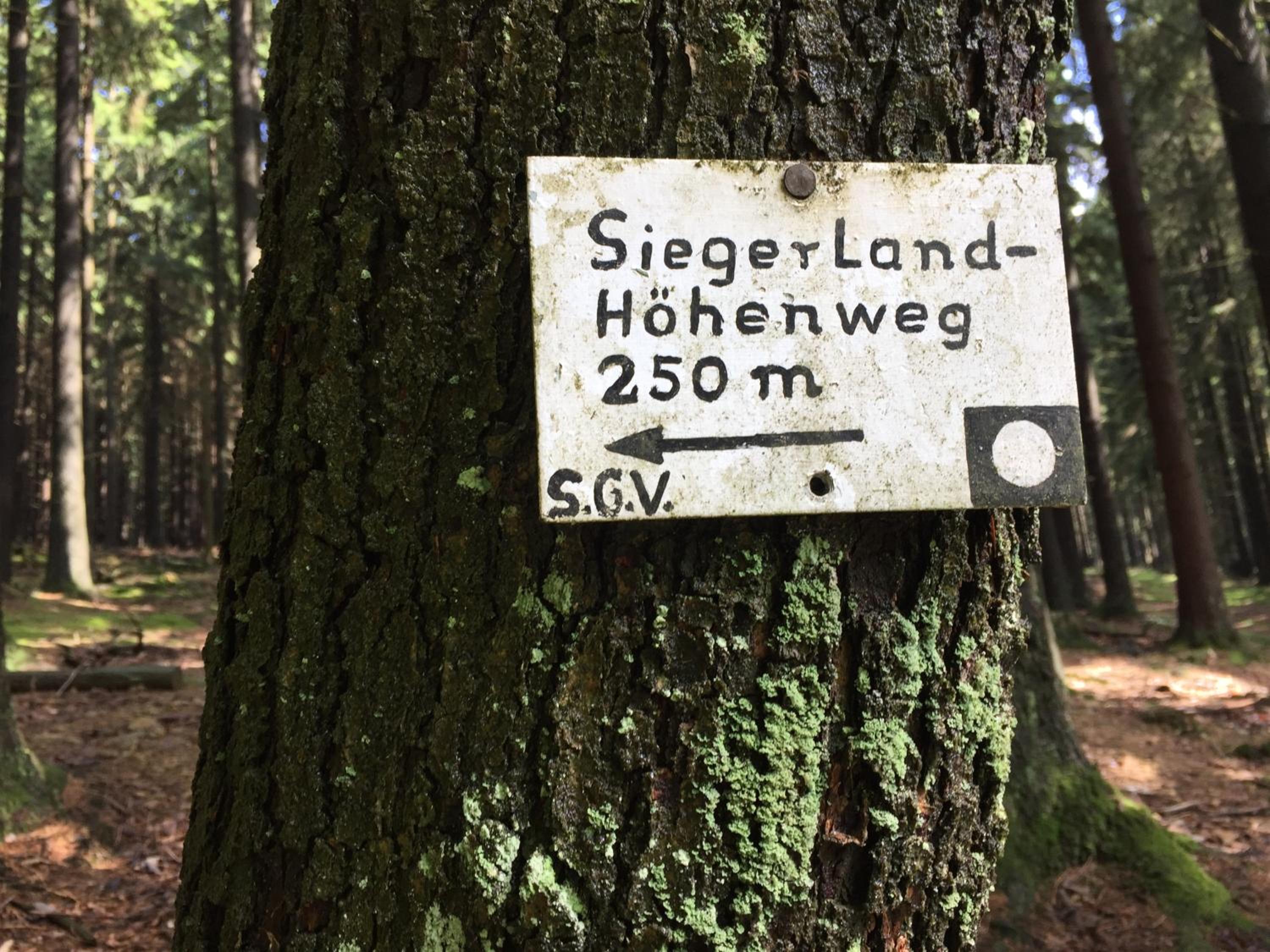Pension zum Rothaarsteig