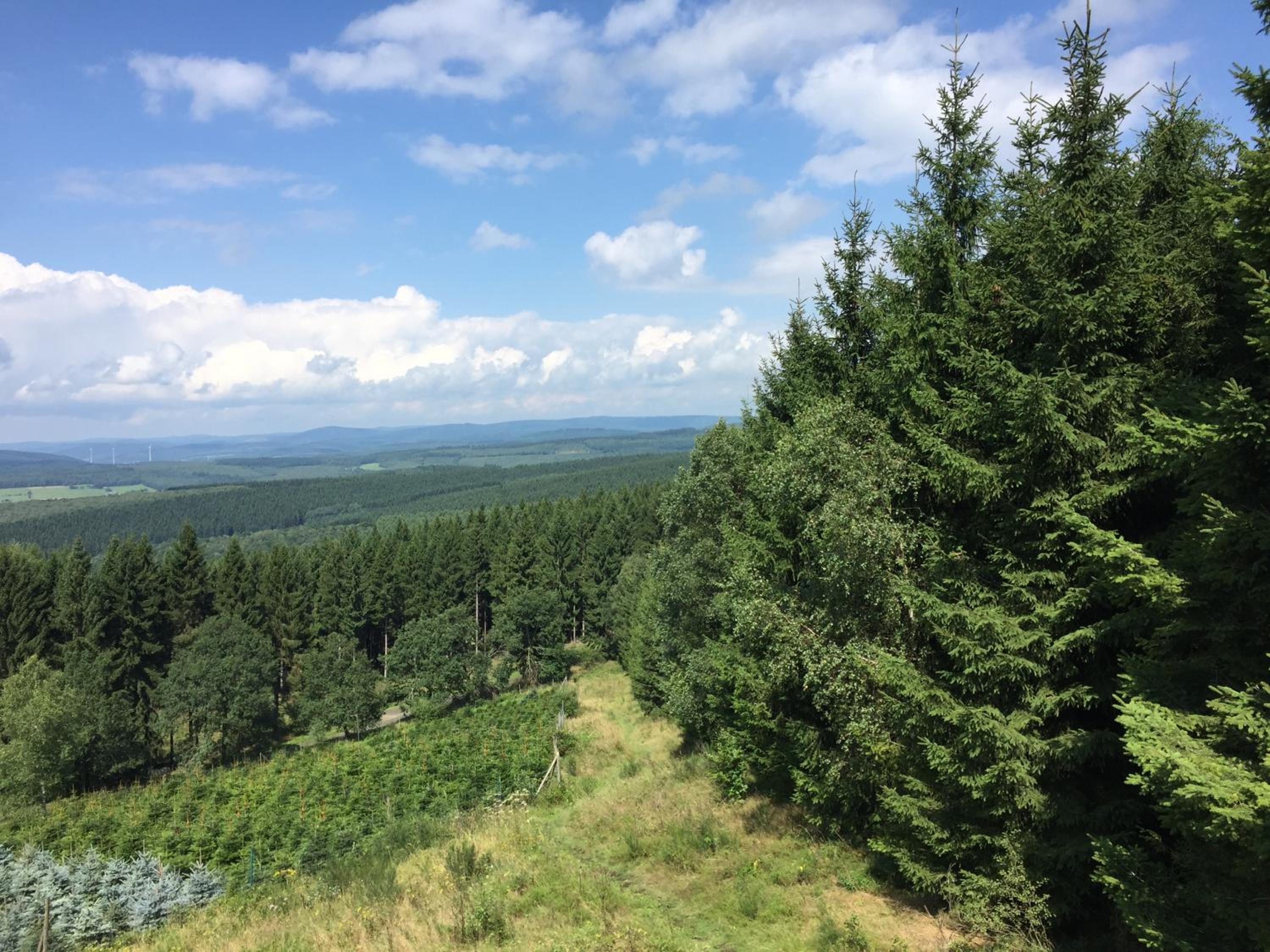 Pension zum Rothaarsteig