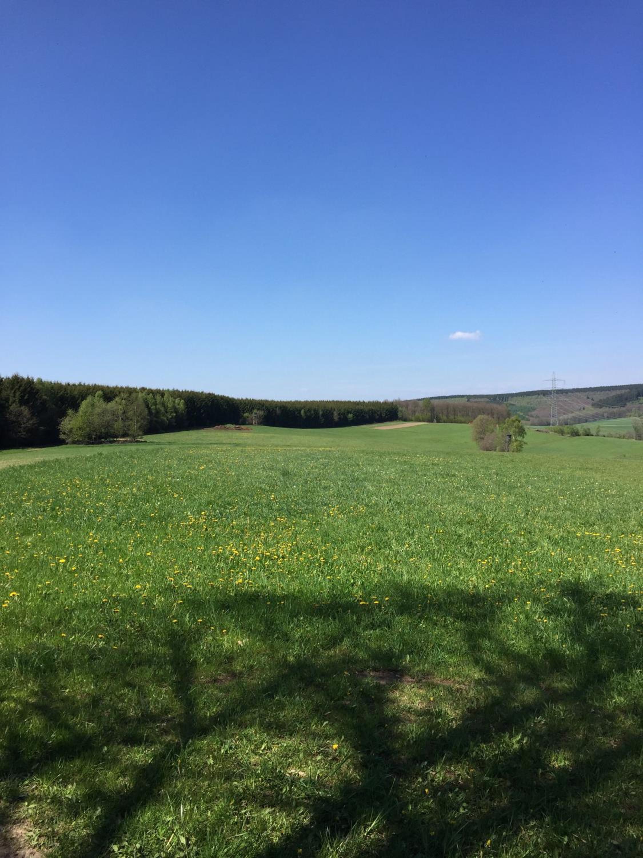 Pension zum Rothaarsteig