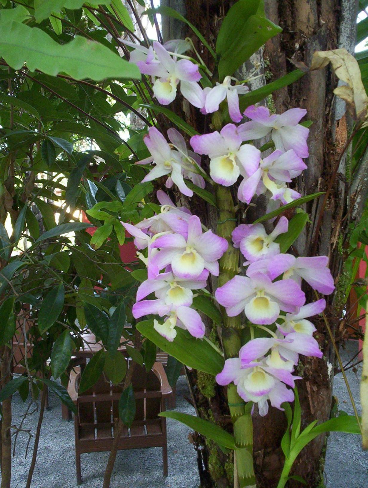 Photo 74