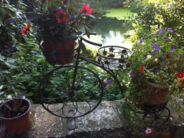 Photo 23