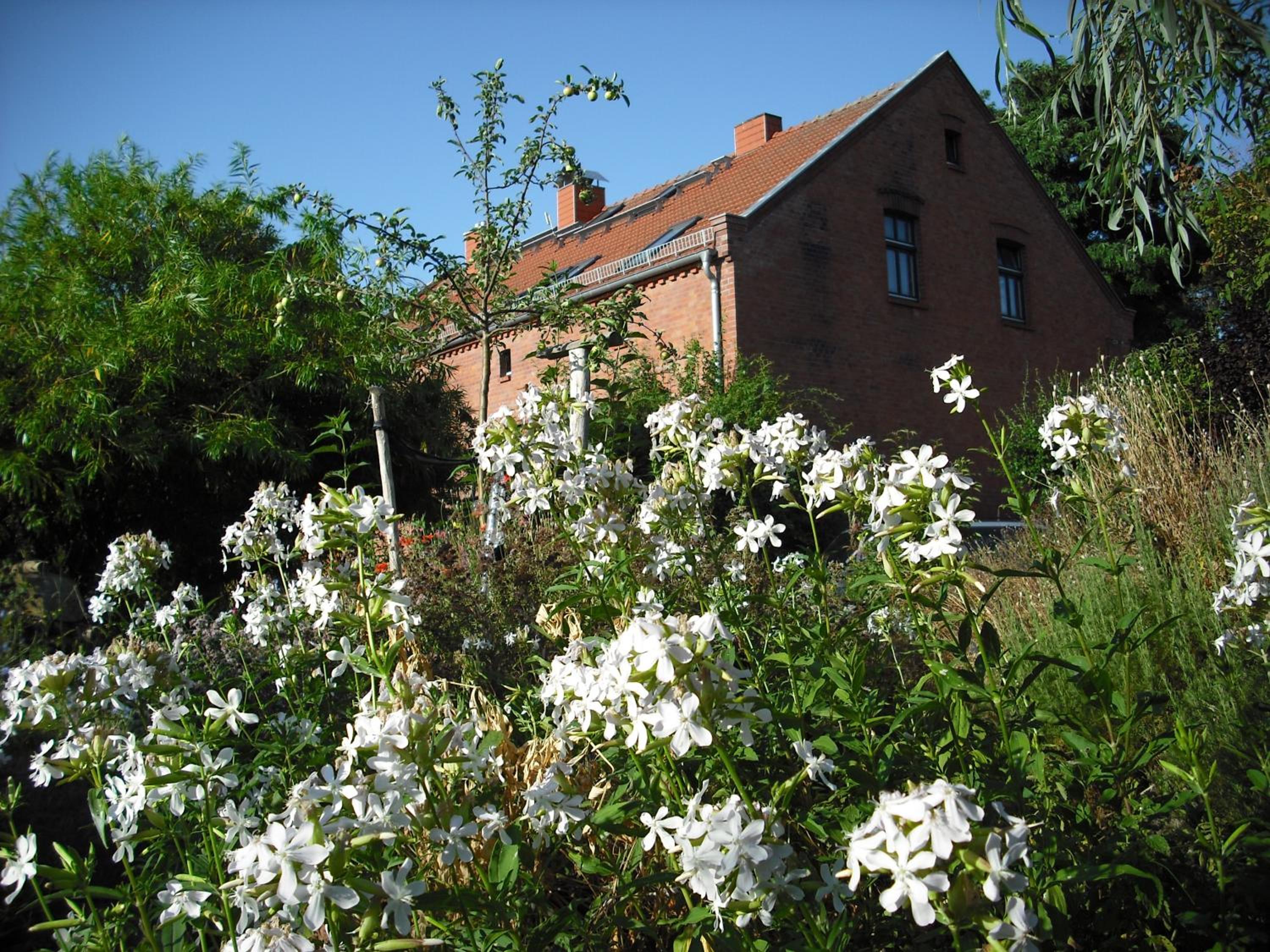 Photo 28