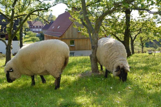 Ferienwohnung Kunsthof Borsberg - nicht für Monteure und Handwerker geeignet