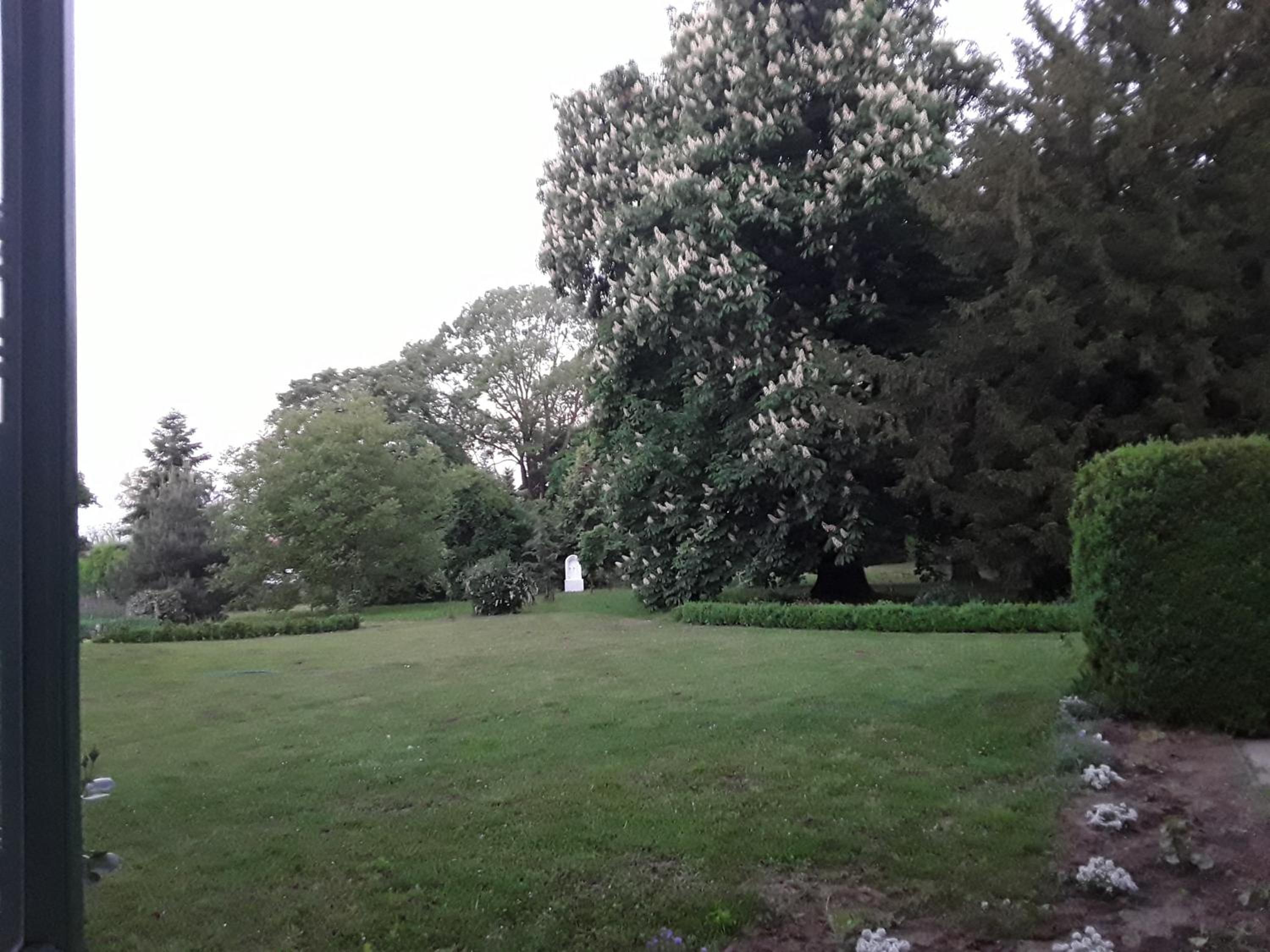 Igmándy kúria view 5