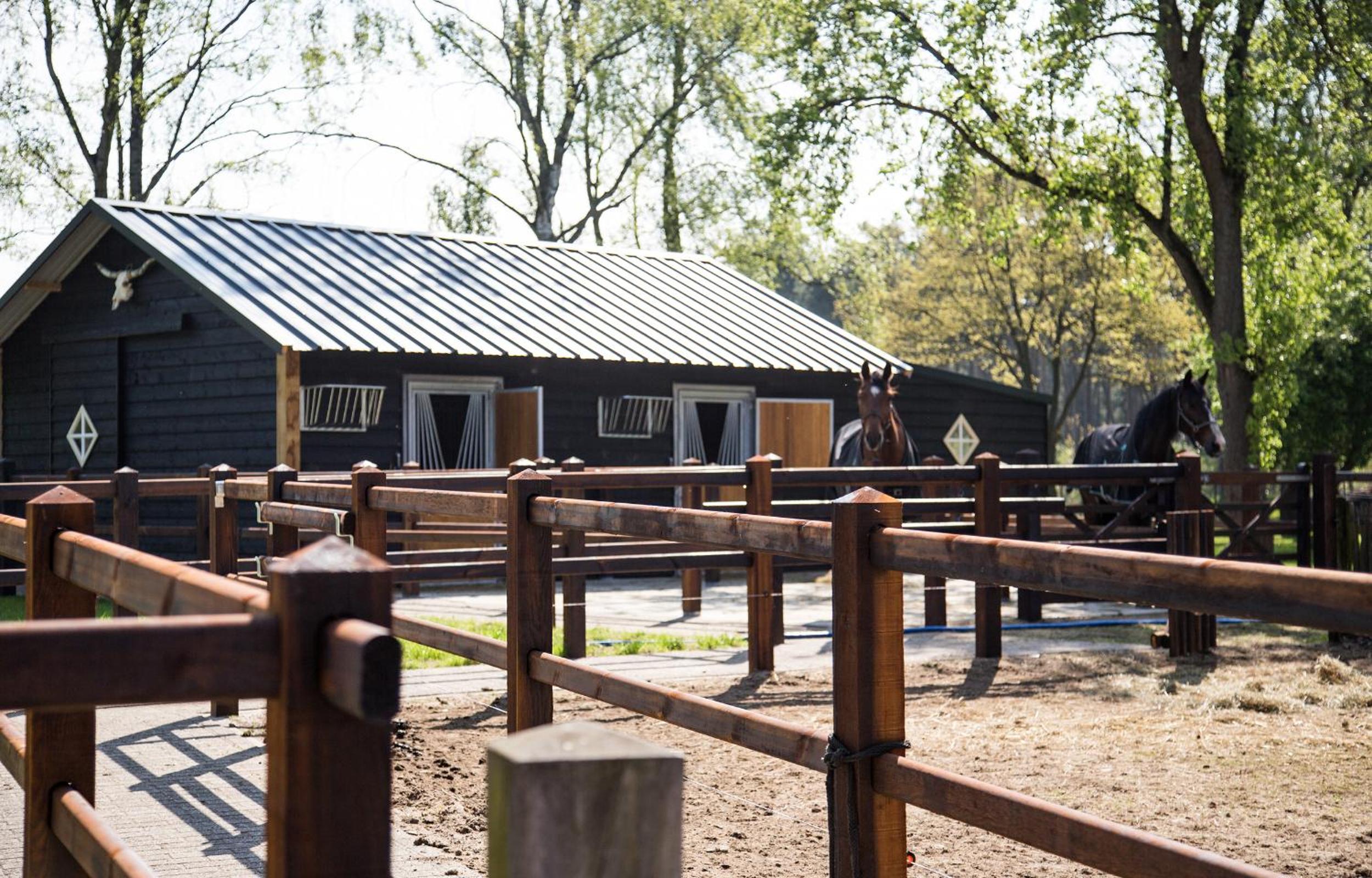 De Verloren Sinjoor view 5