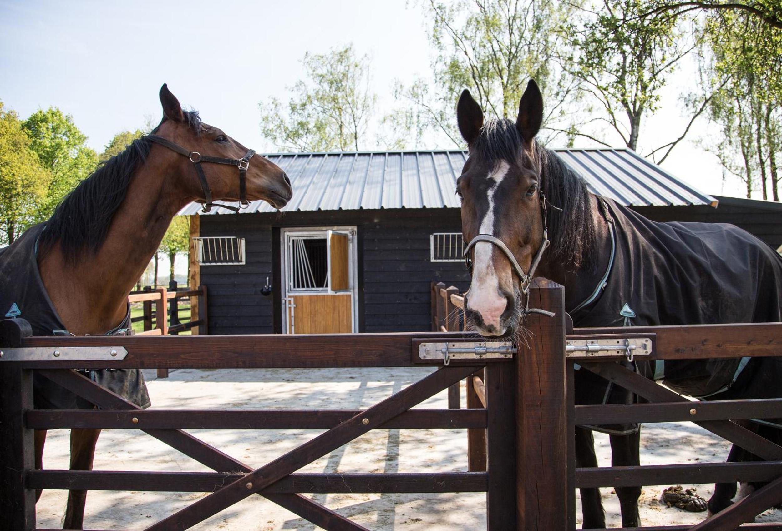 De Verloren Sinjoor view 4