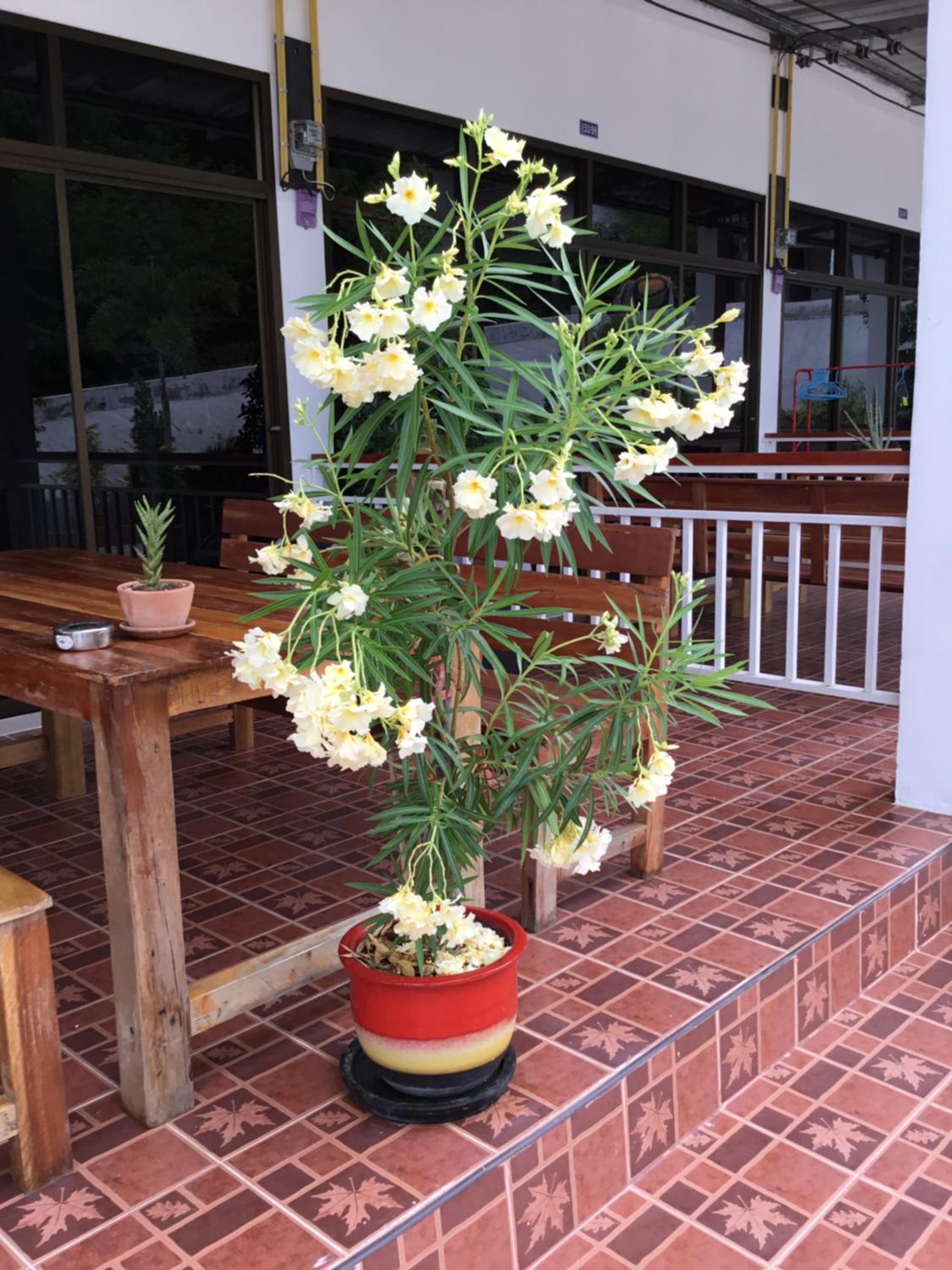 Photo 21