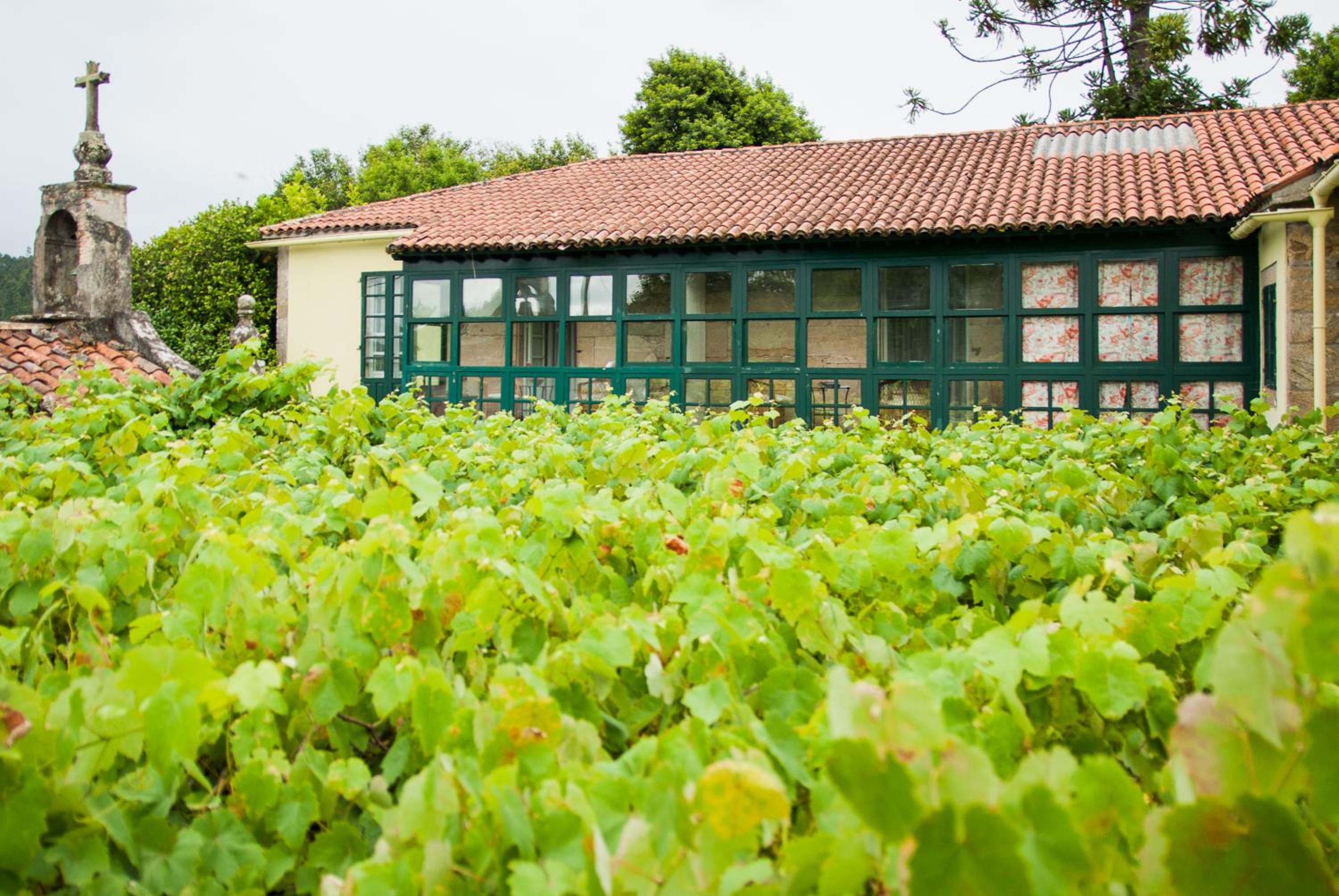 Pazo Cibrán