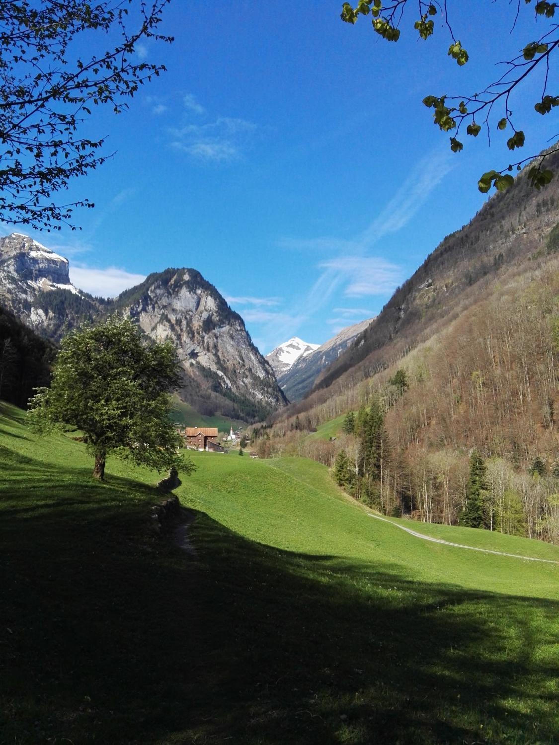 FEWO Rophaienblick