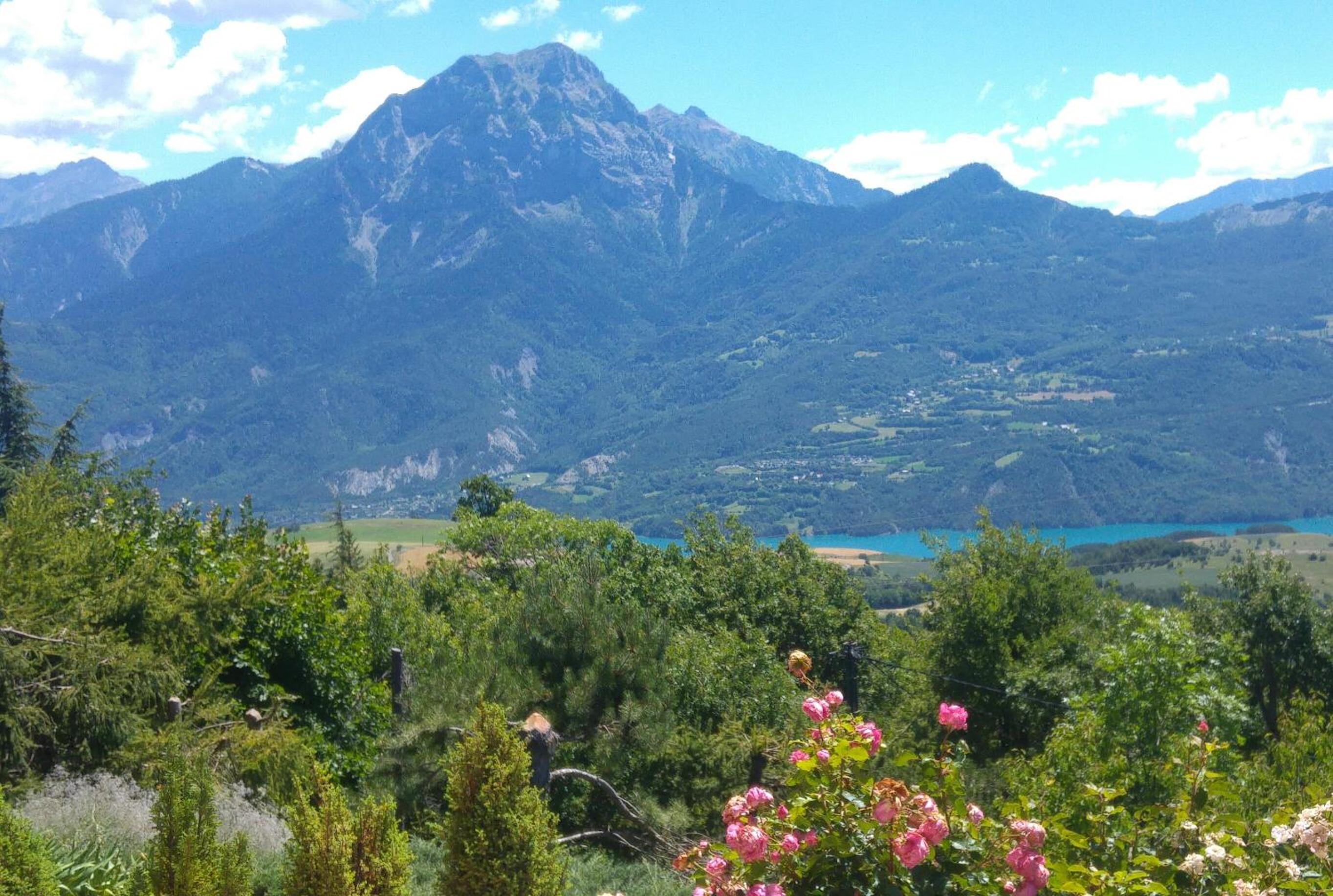 Les Roches Fleuries view 3