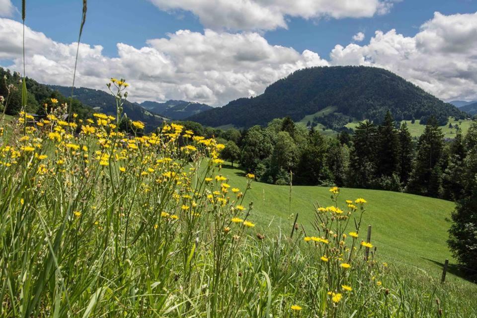 Haus Hagspiel
