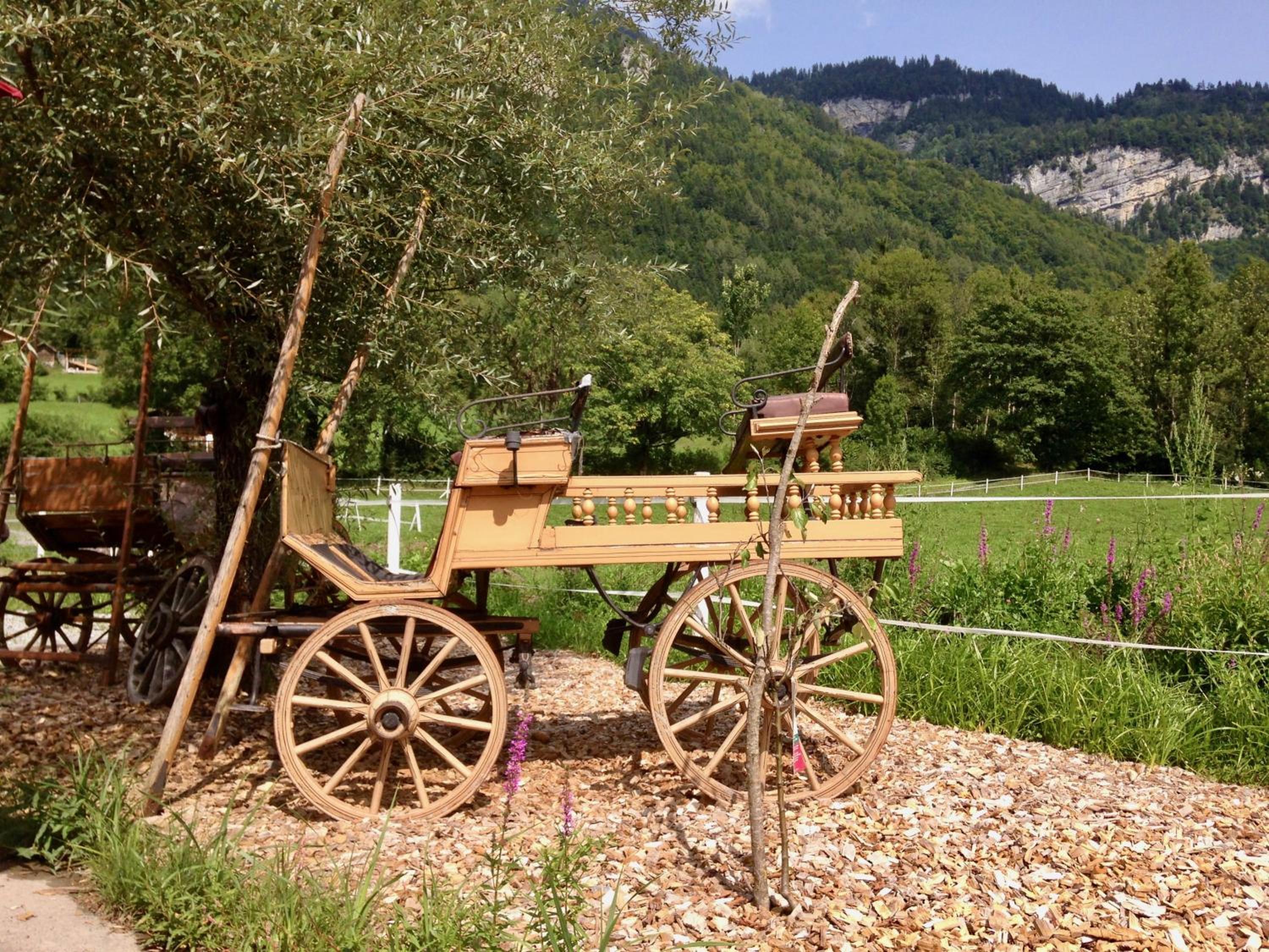Eichhof Brienzwiler Berner Oberland