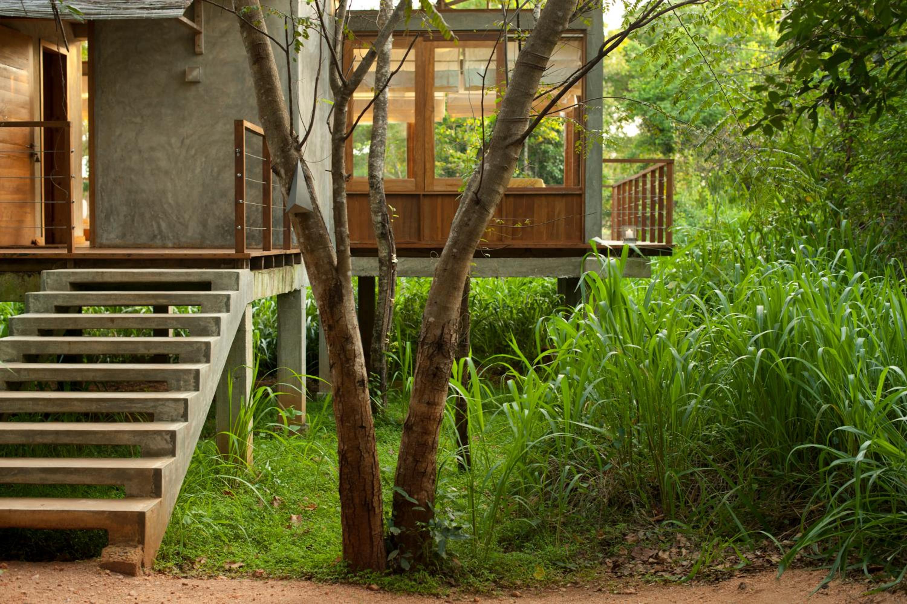 Wild Grass Nature Resort, Sigiriya - 16