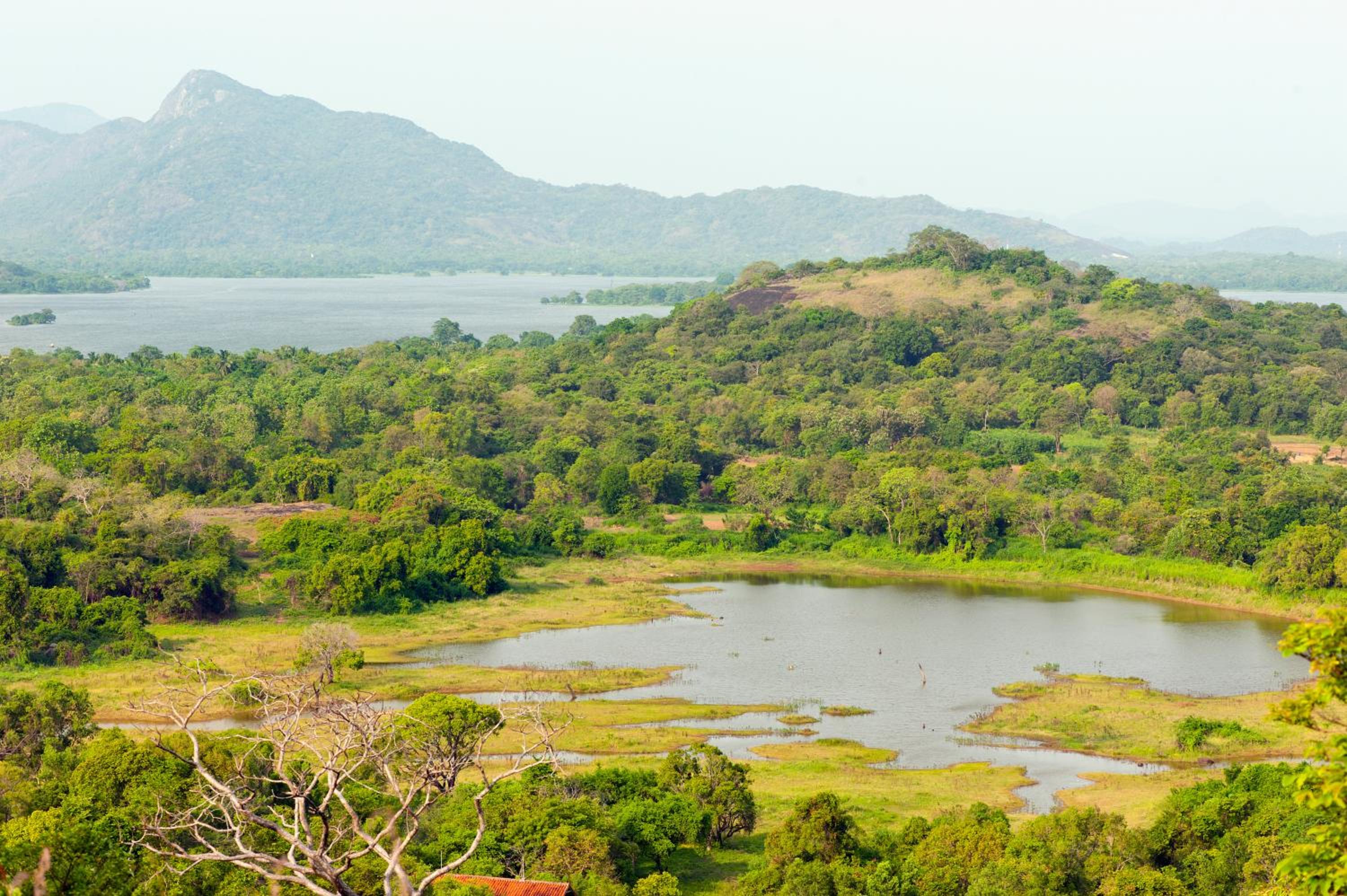 Wild Grass Nature Resort, Sigiriya - 12
