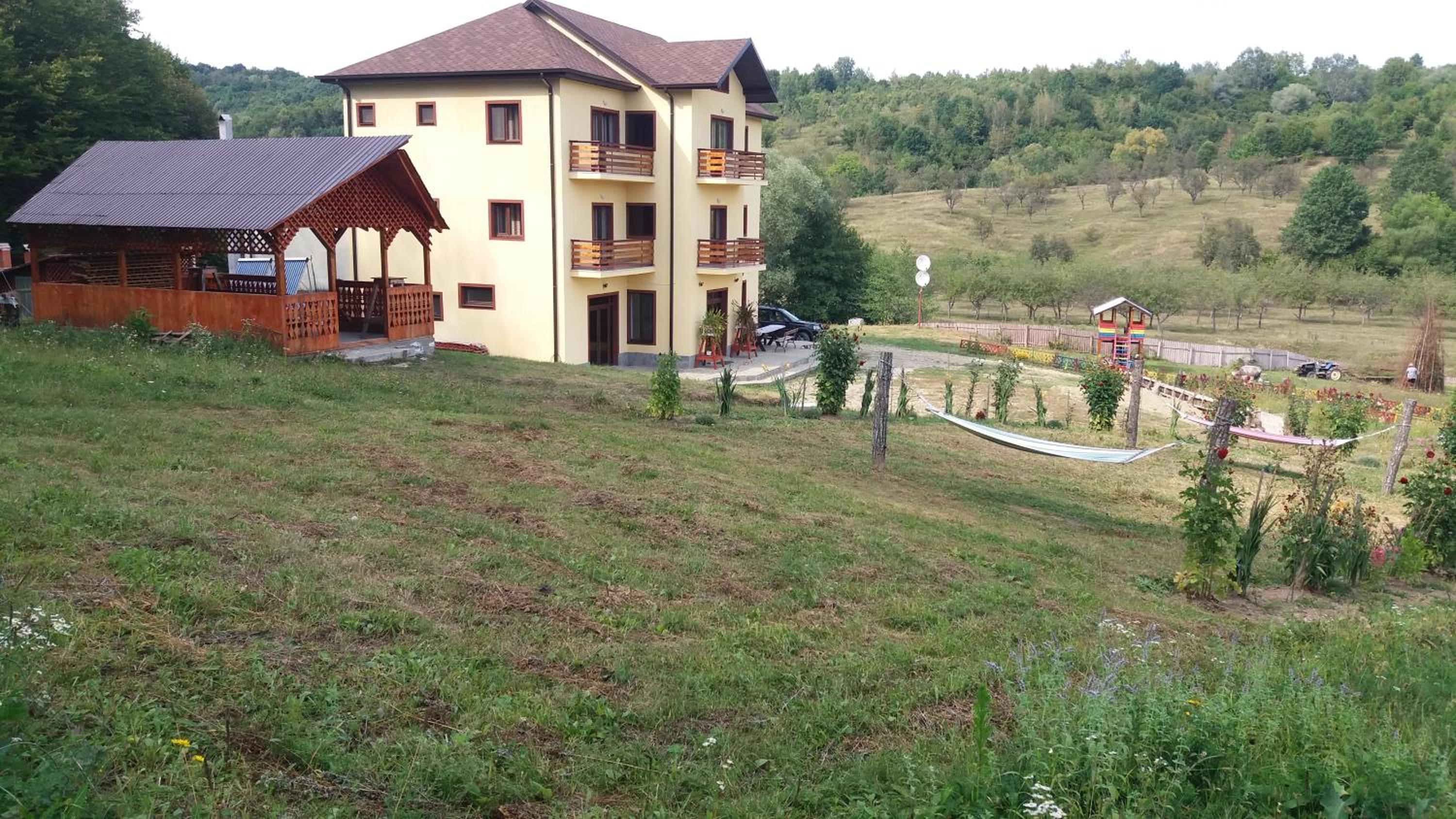 Photo 7