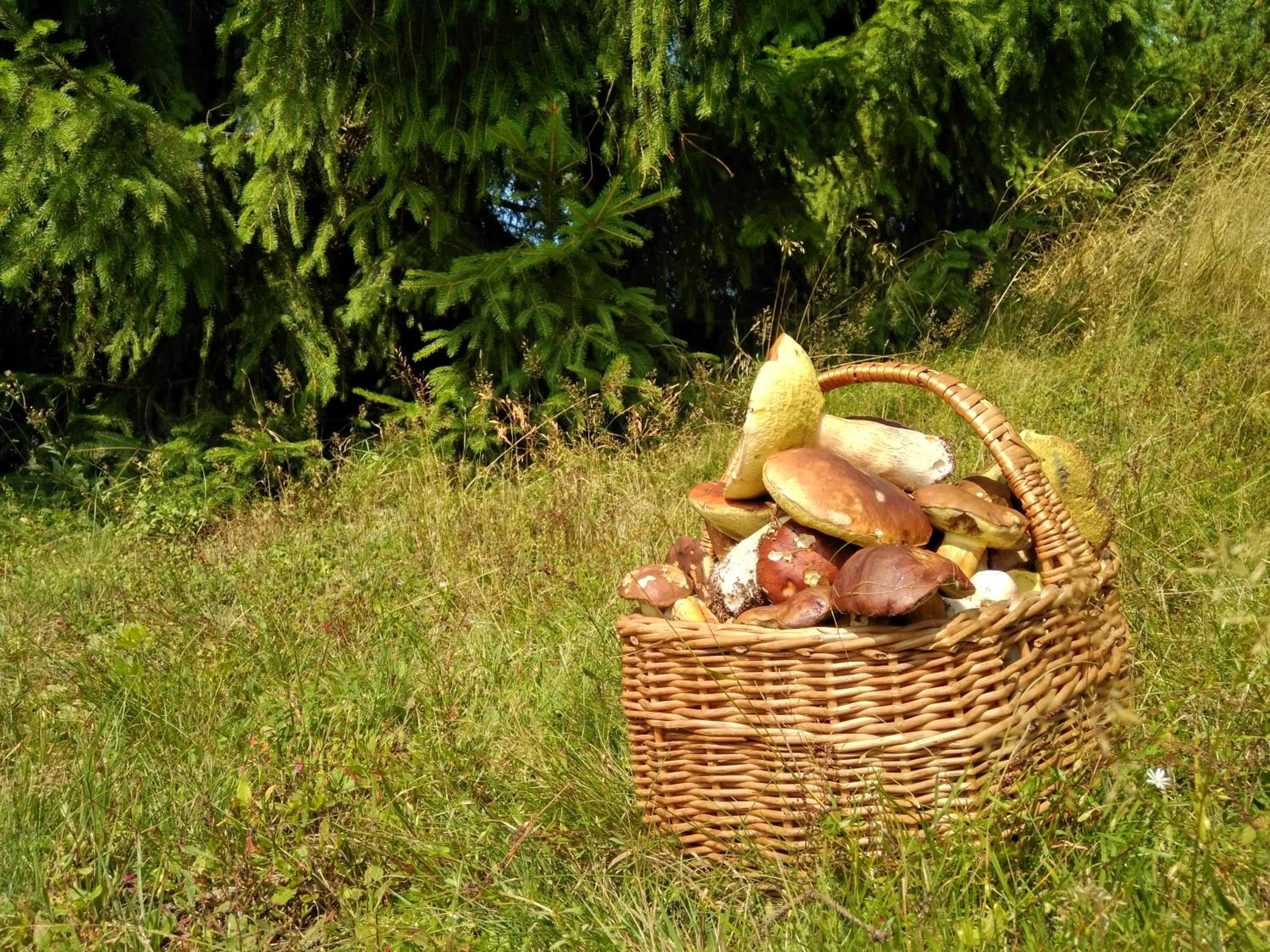 Photo 20