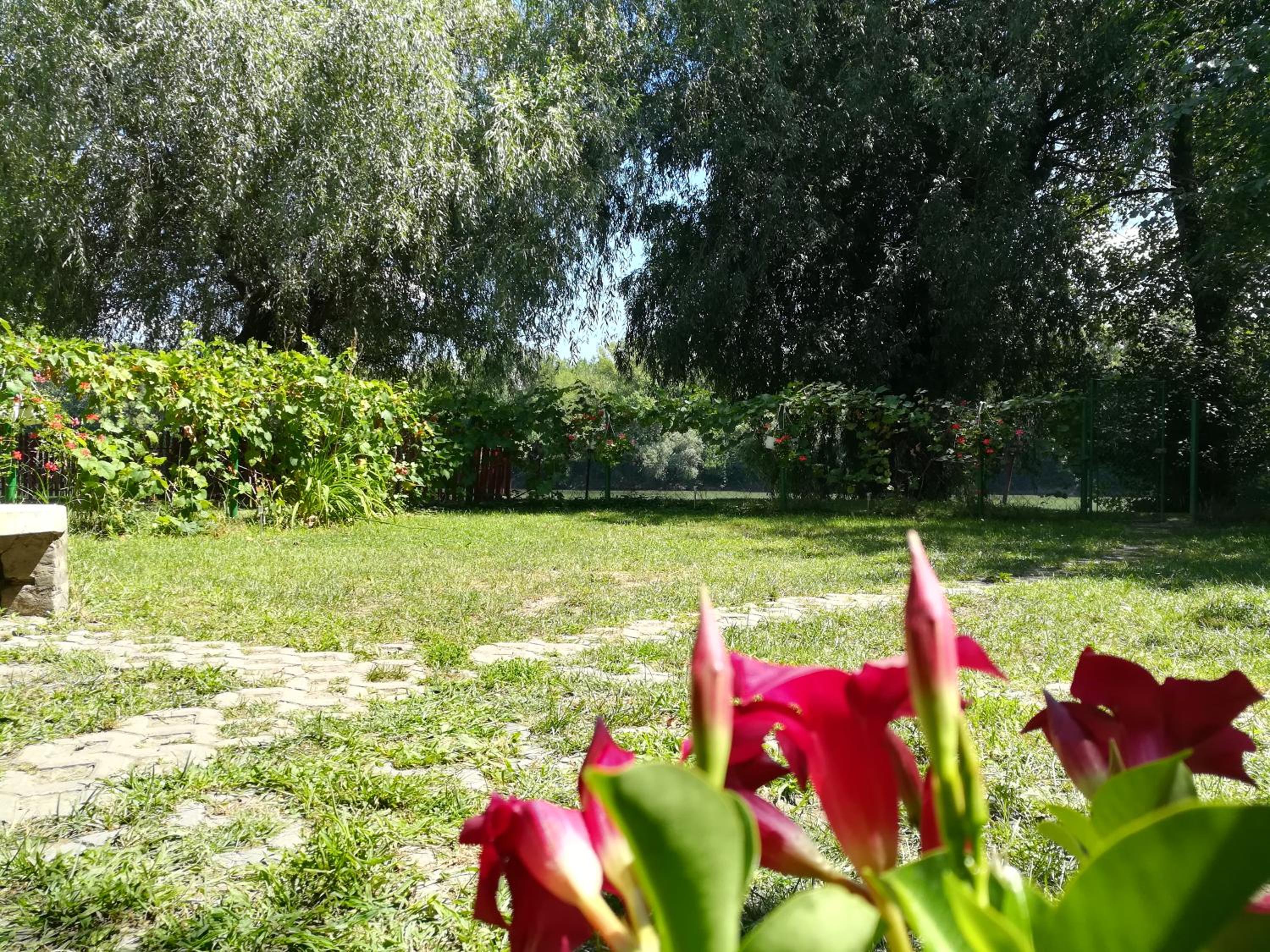 Photo 43