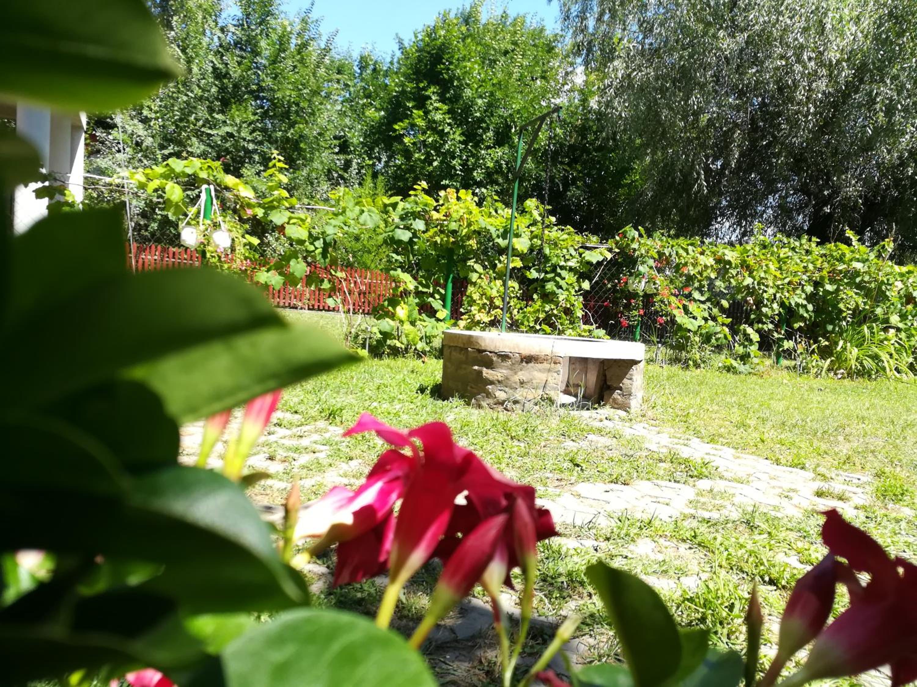 Photo 34