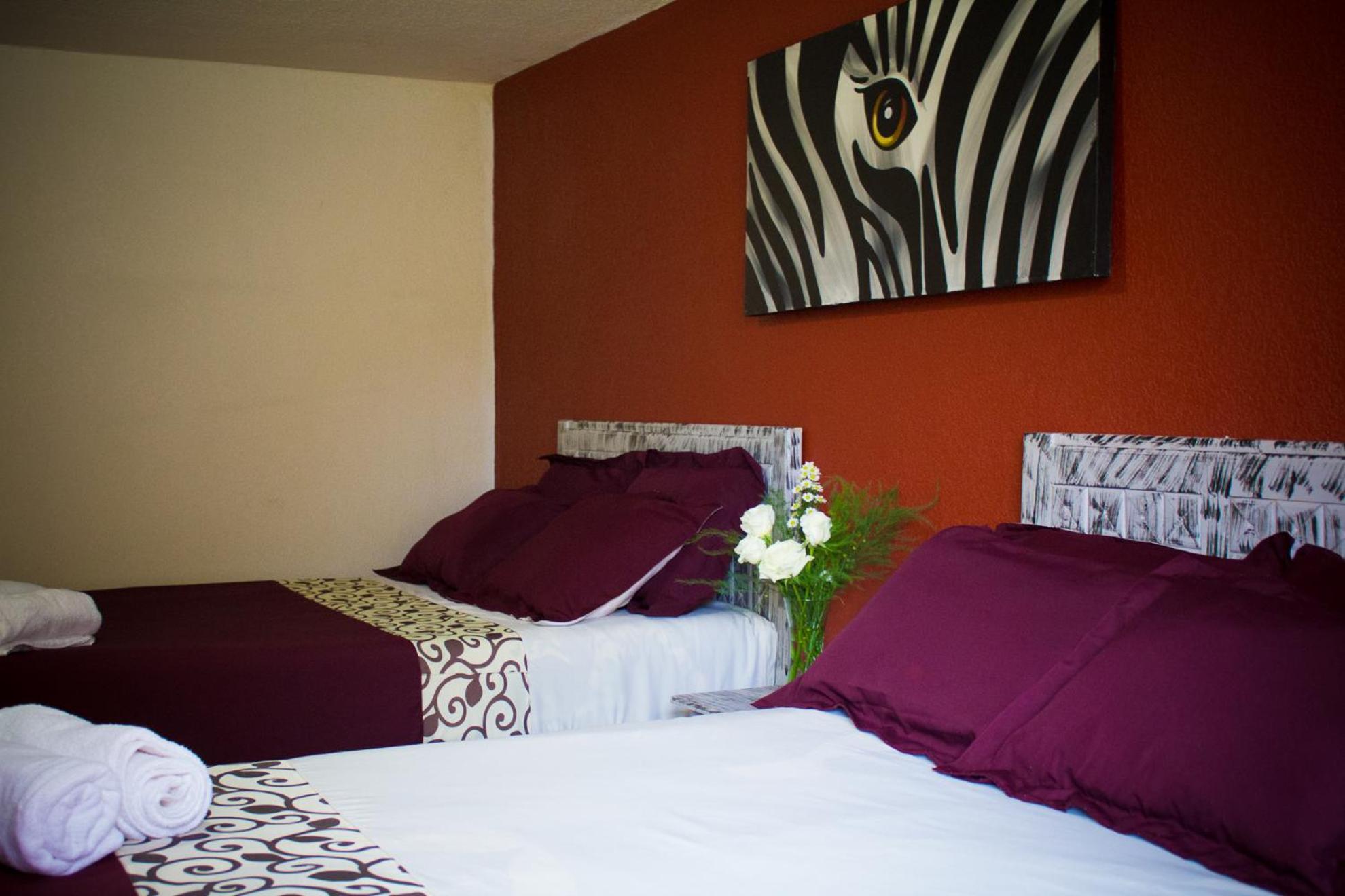Hotel & Suites Cerro Roj0, photo 158