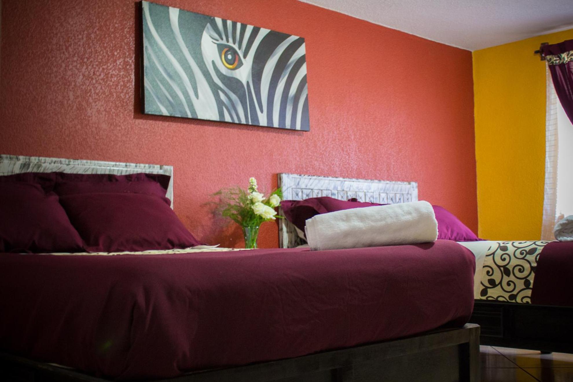 Hotel & Suites Cerro Roj0, photo 133