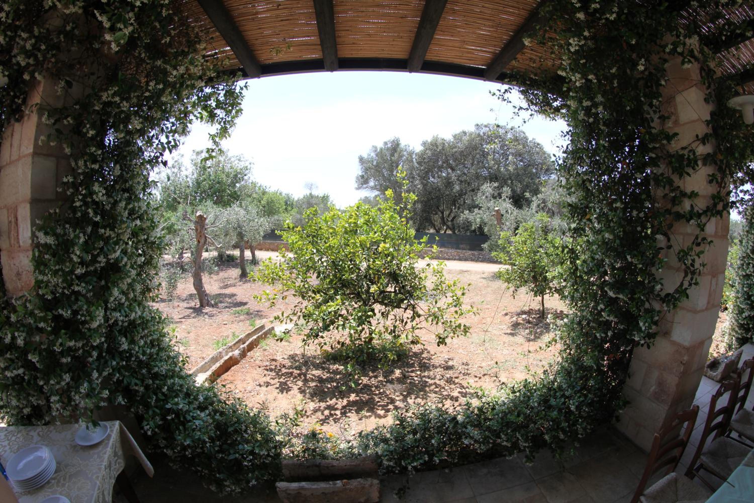 Photo 21