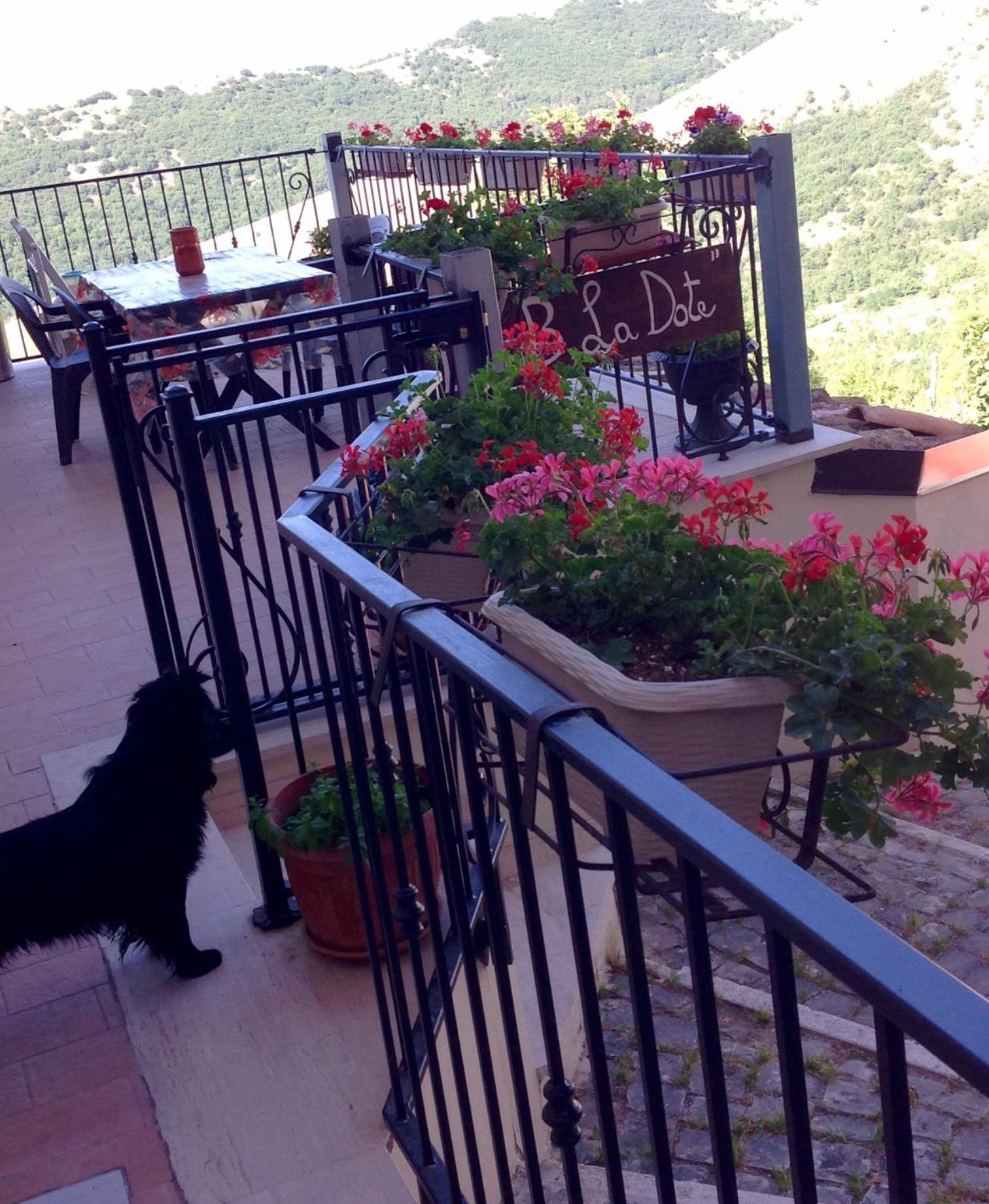 La Dote view 4