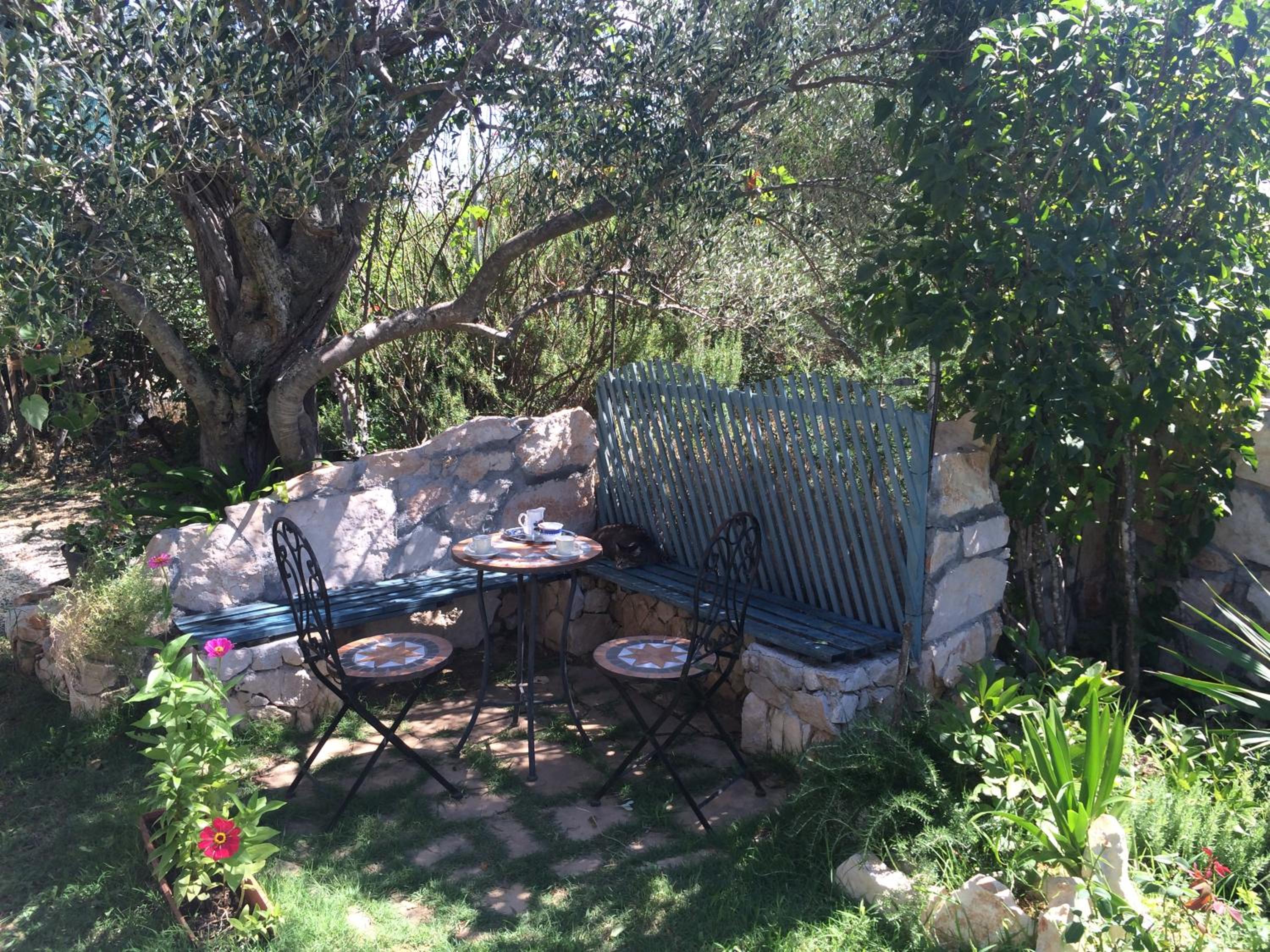 Photo 20