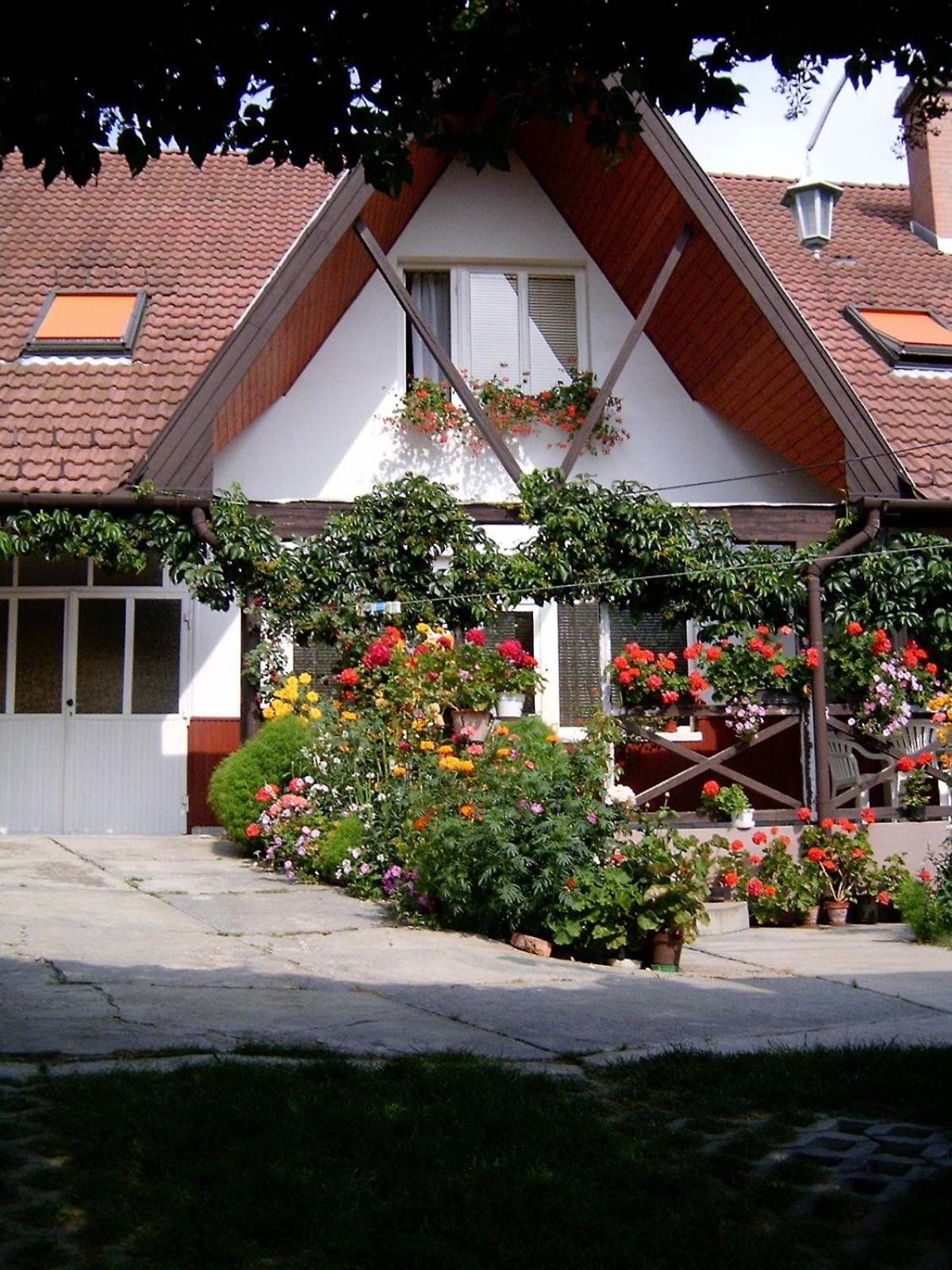 Akác Vendégház view 3