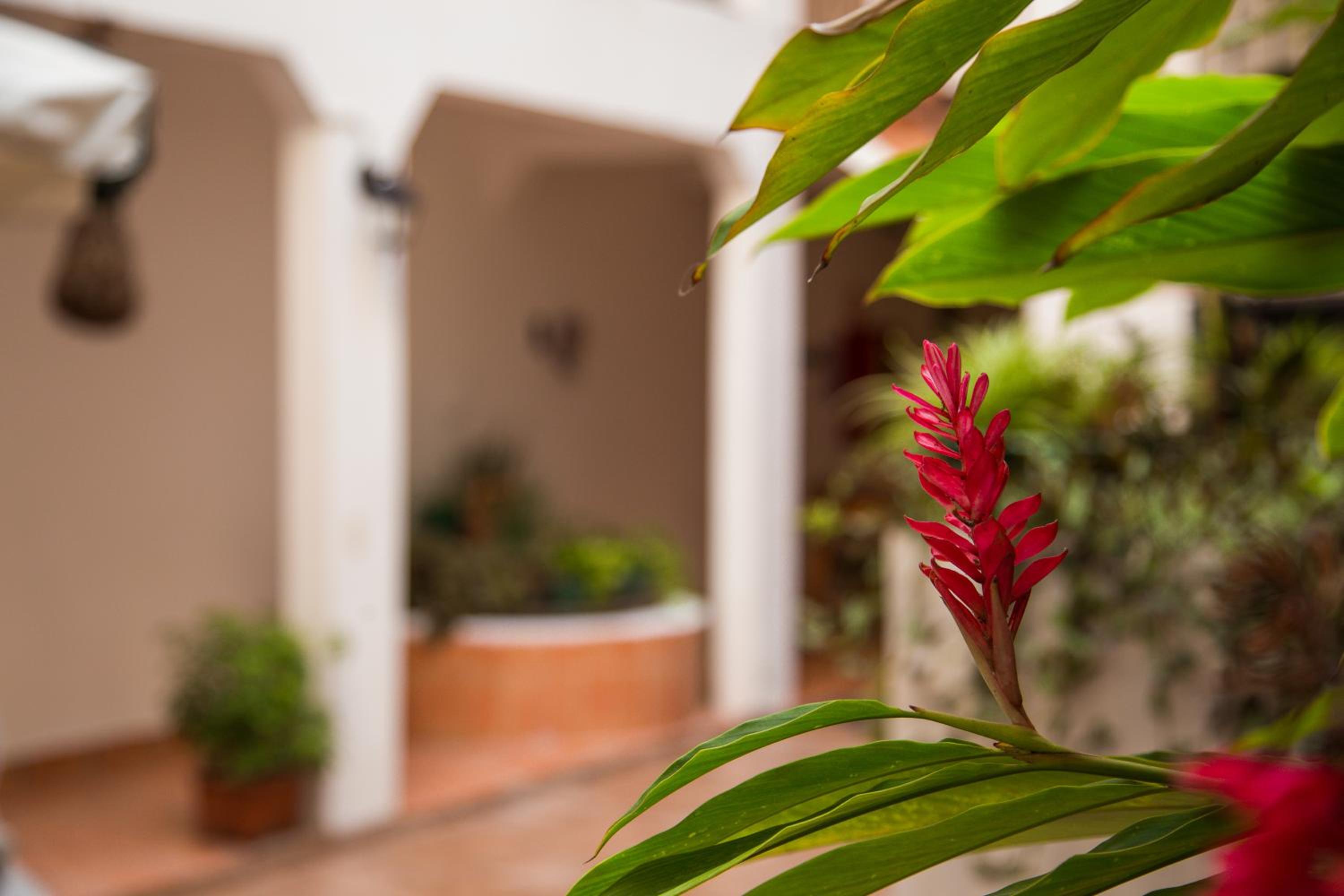 Posada Kin, photo 26