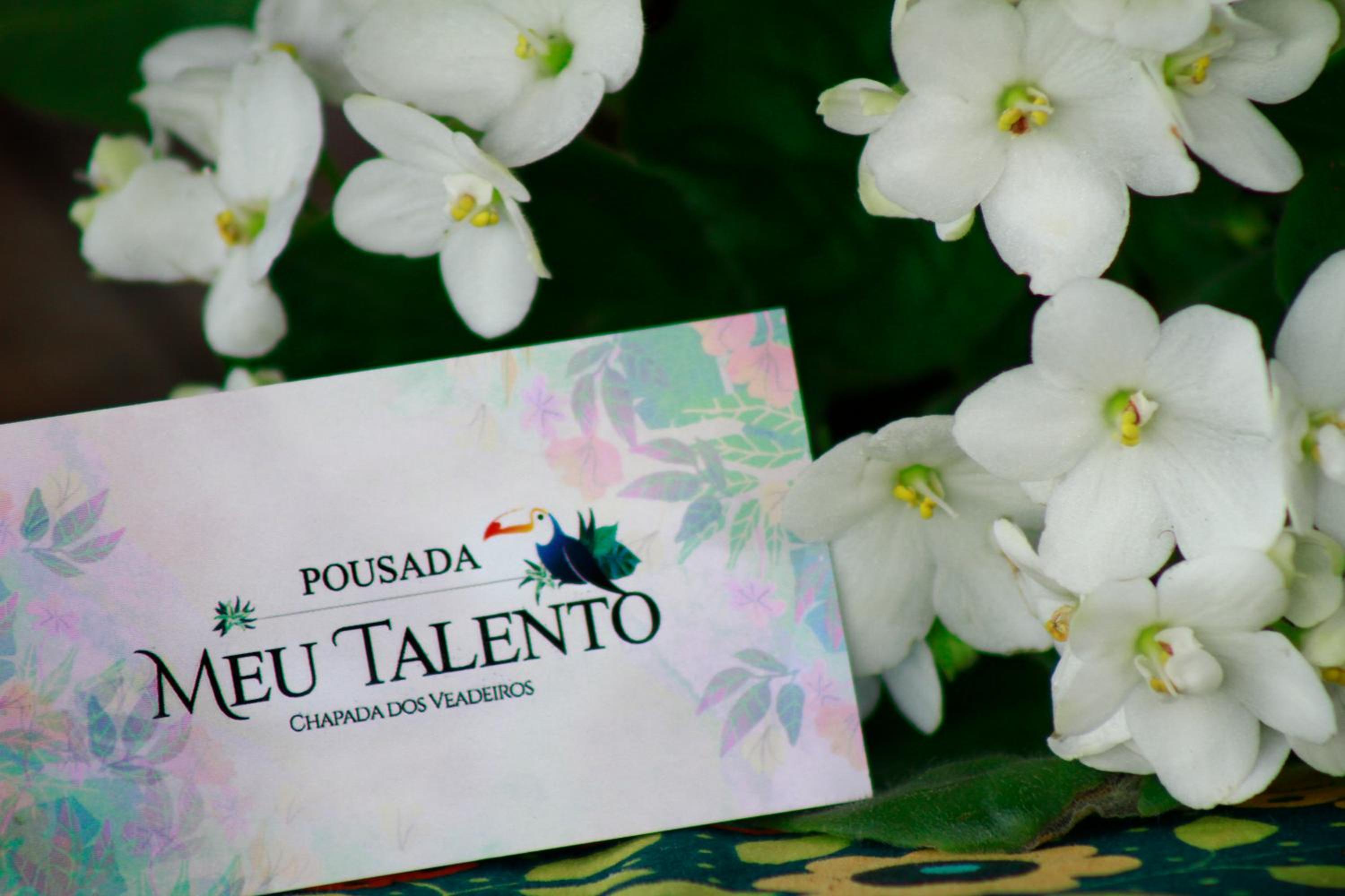 Pousada Meu Talento
