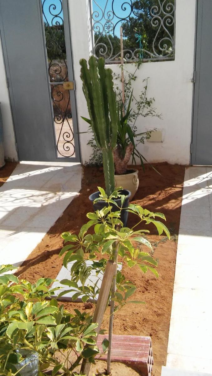 Photo 20