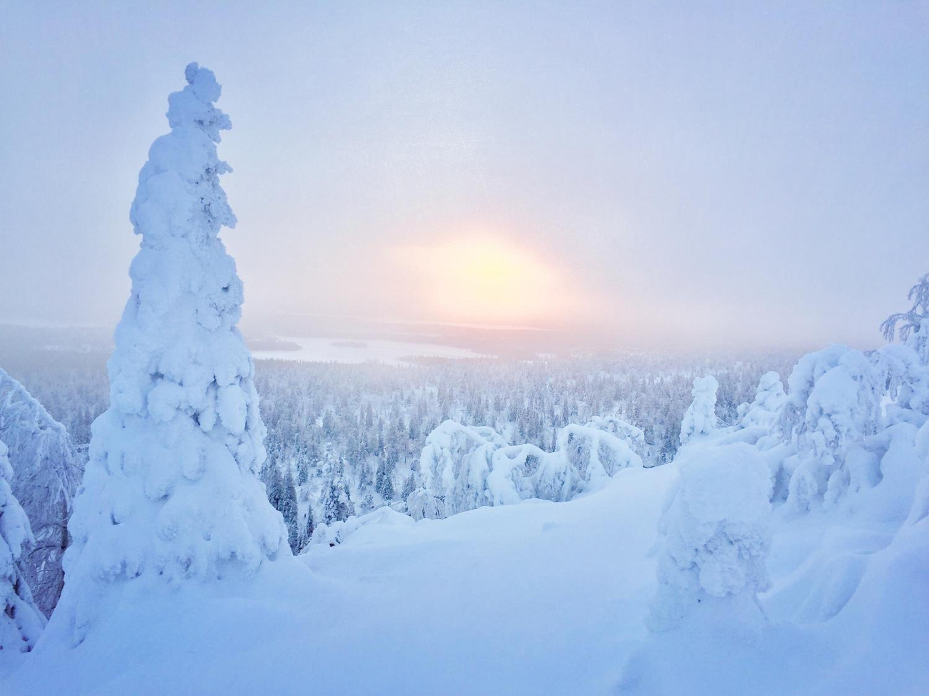 Villa Saarua by the Slopes Ski in, Family & Bike Park, hike trails, National Park, WiFi - Lapland Villas view 4