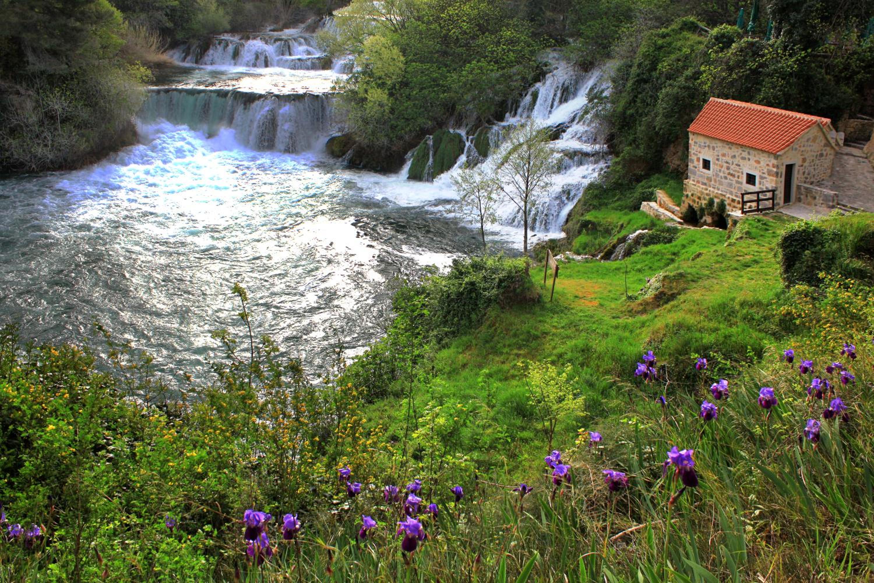Photo 25
