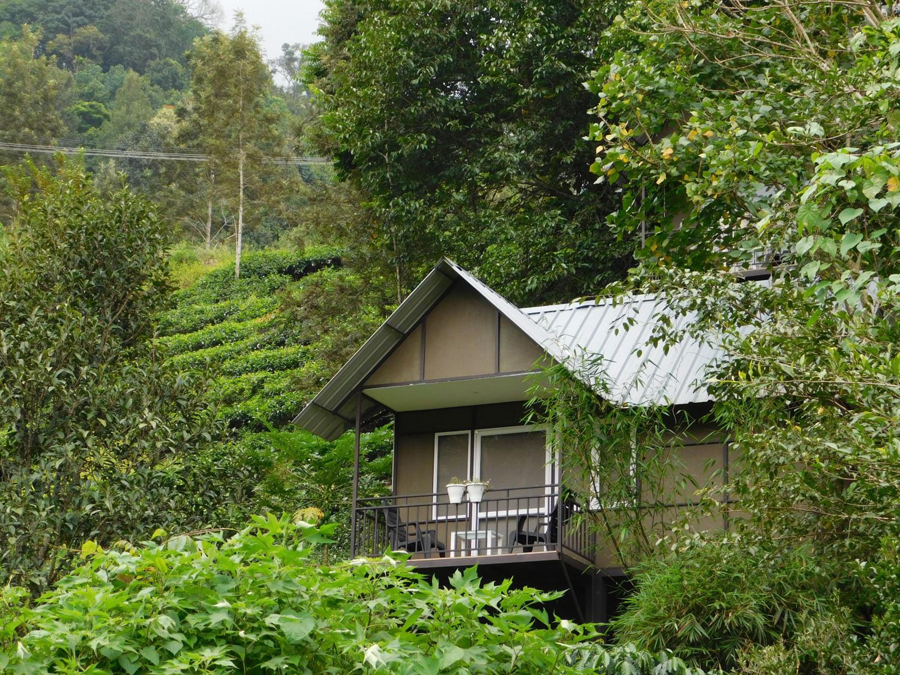Moselberg Riverside Cottages