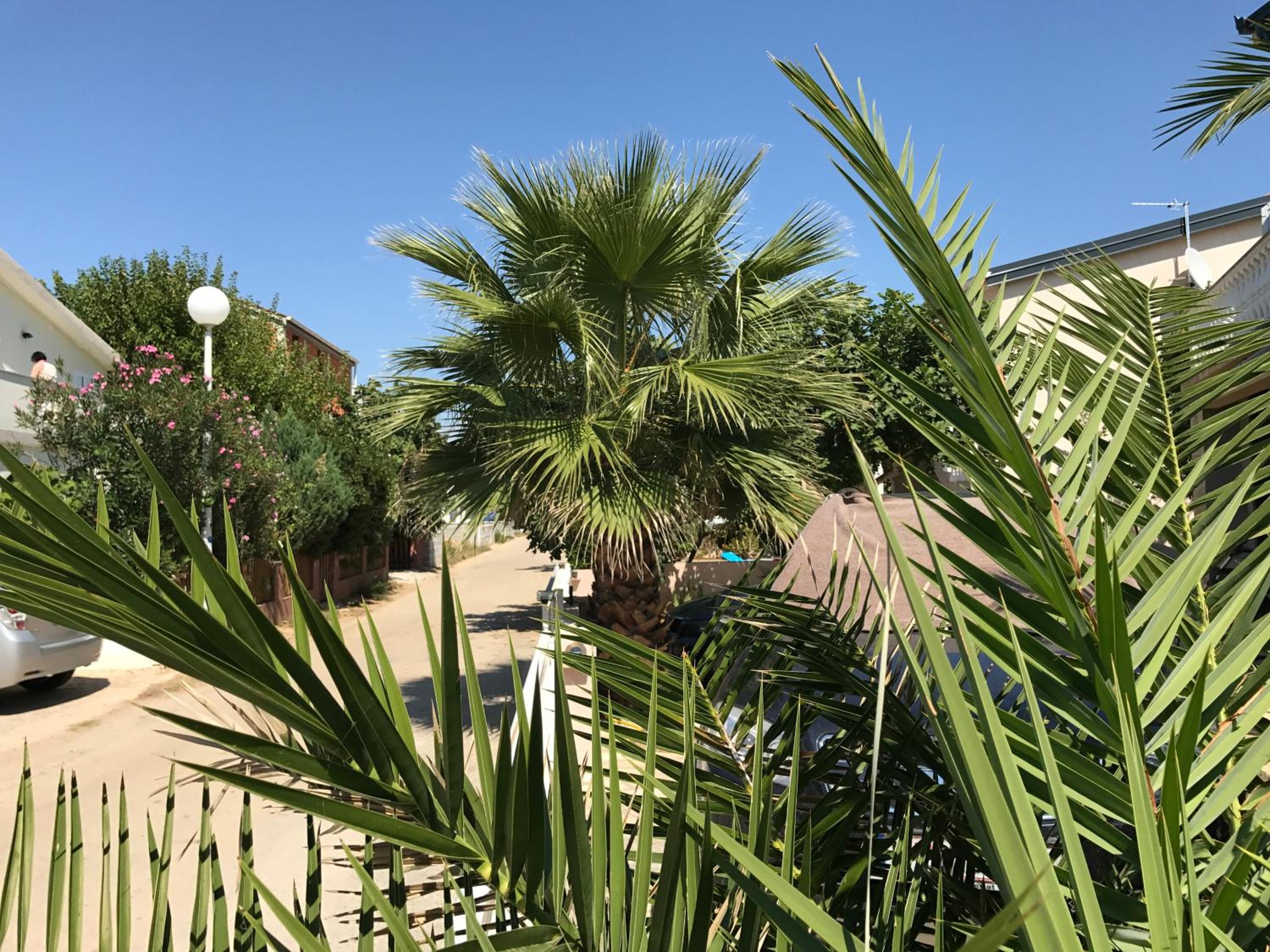 Apartment Plavo Sidro