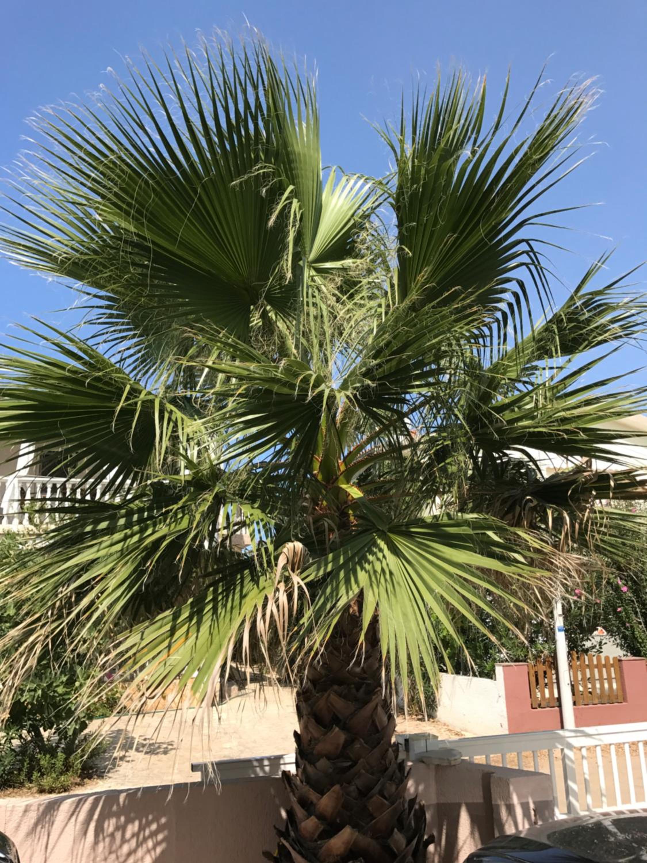 Apartment Plavo Sidro