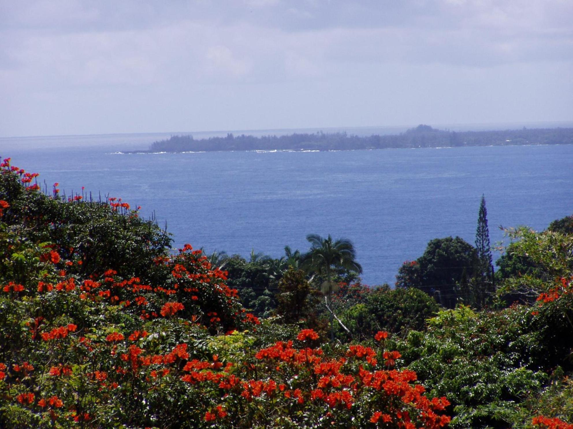 Island Goode's - Luxury Adult Only Accommodation near Hilo