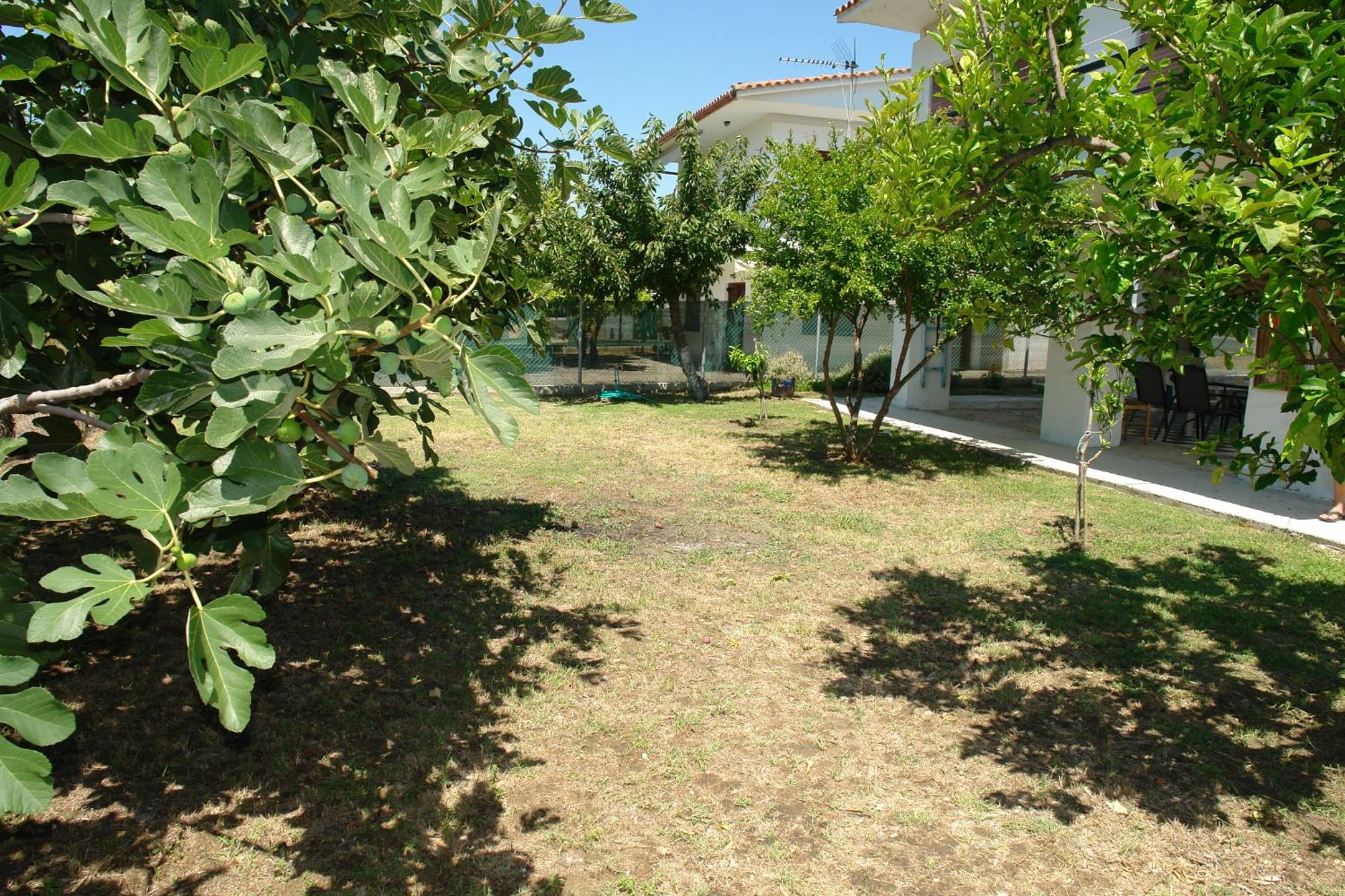 Photo 22
