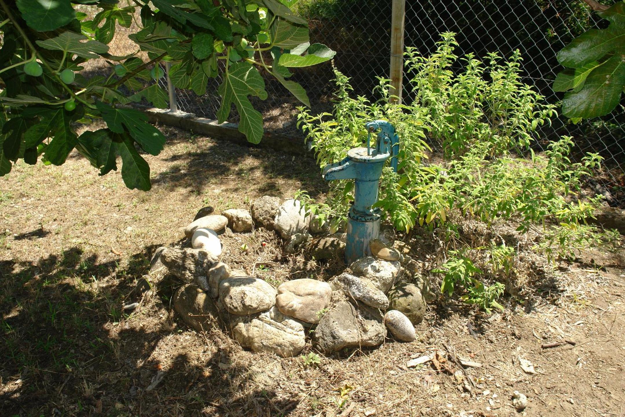 Photo 19