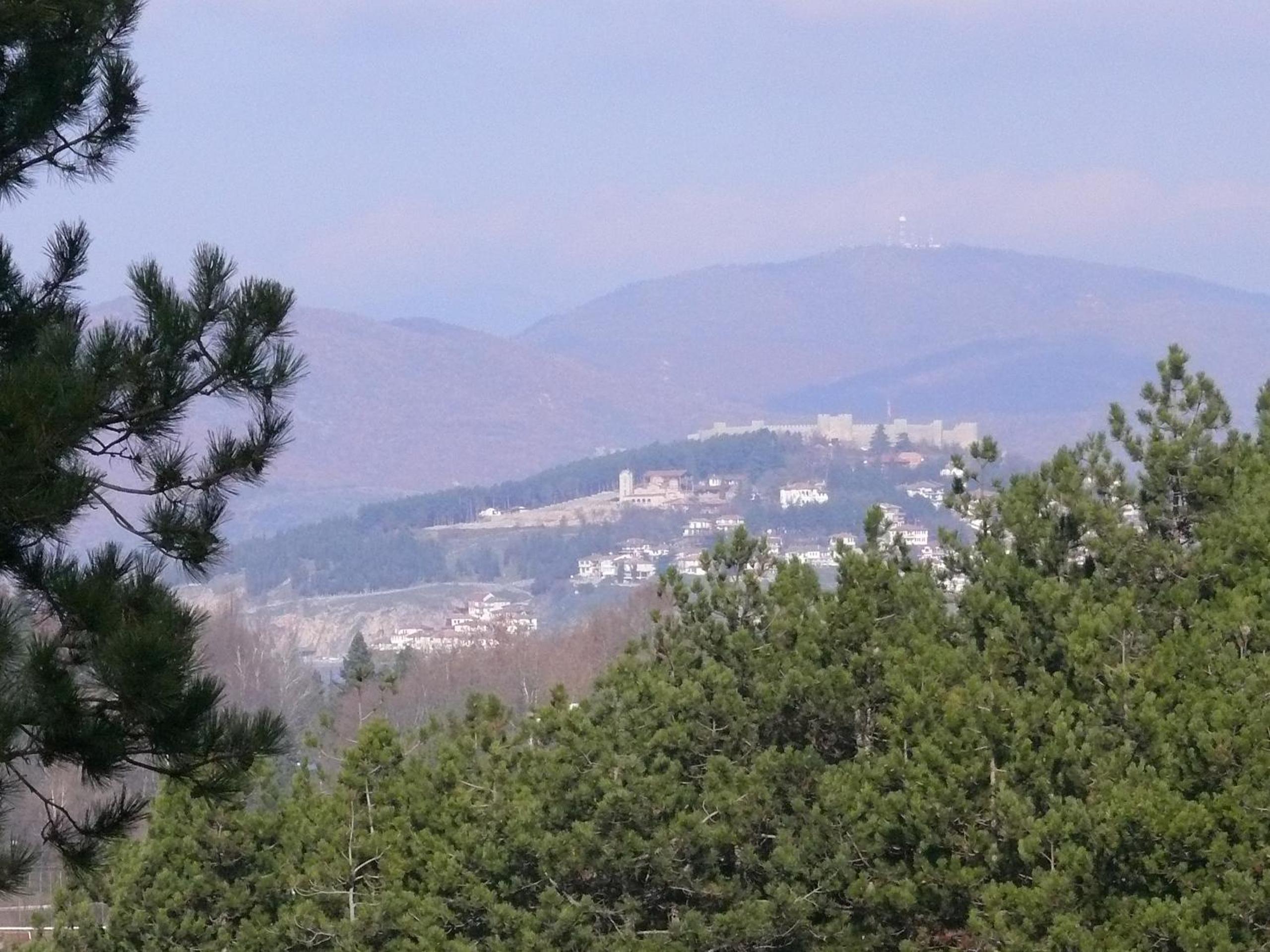 Bella Vista Apartments view 5