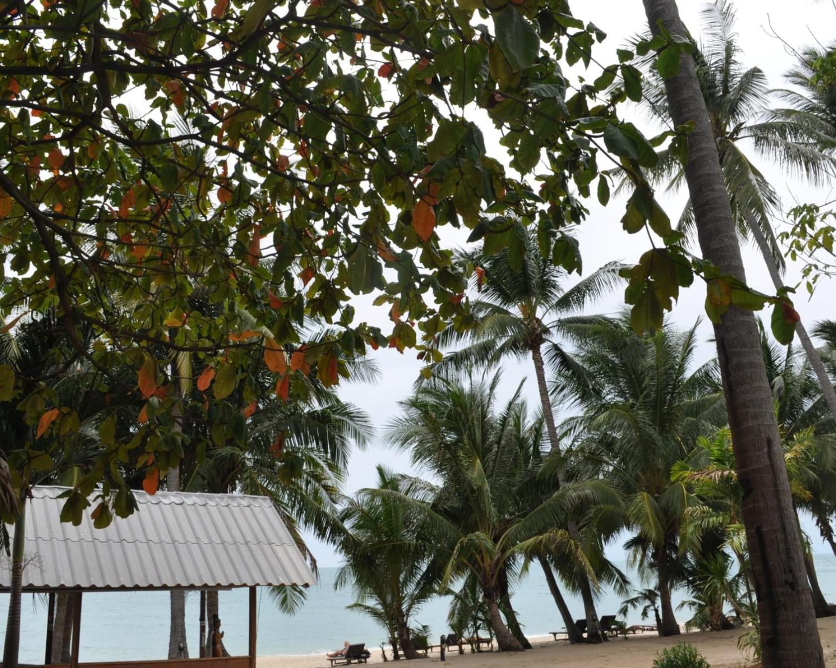 ASTROCOCO beach resort by Coconut Beach