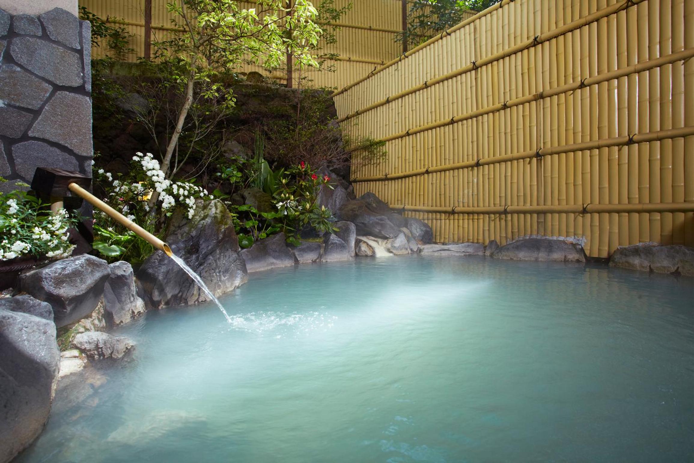 Unzen Iwaki Ryokan view 5