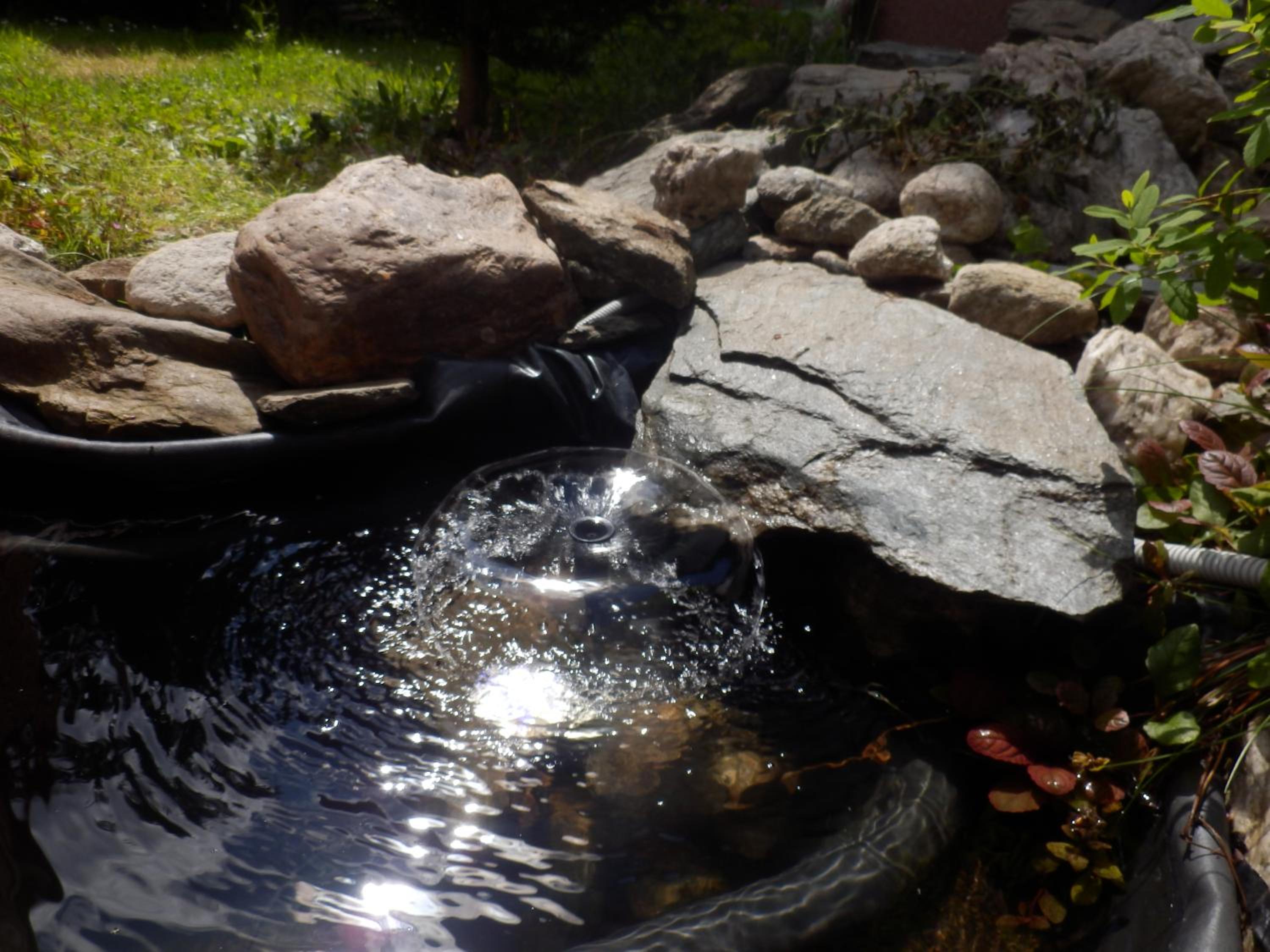 Photo 19