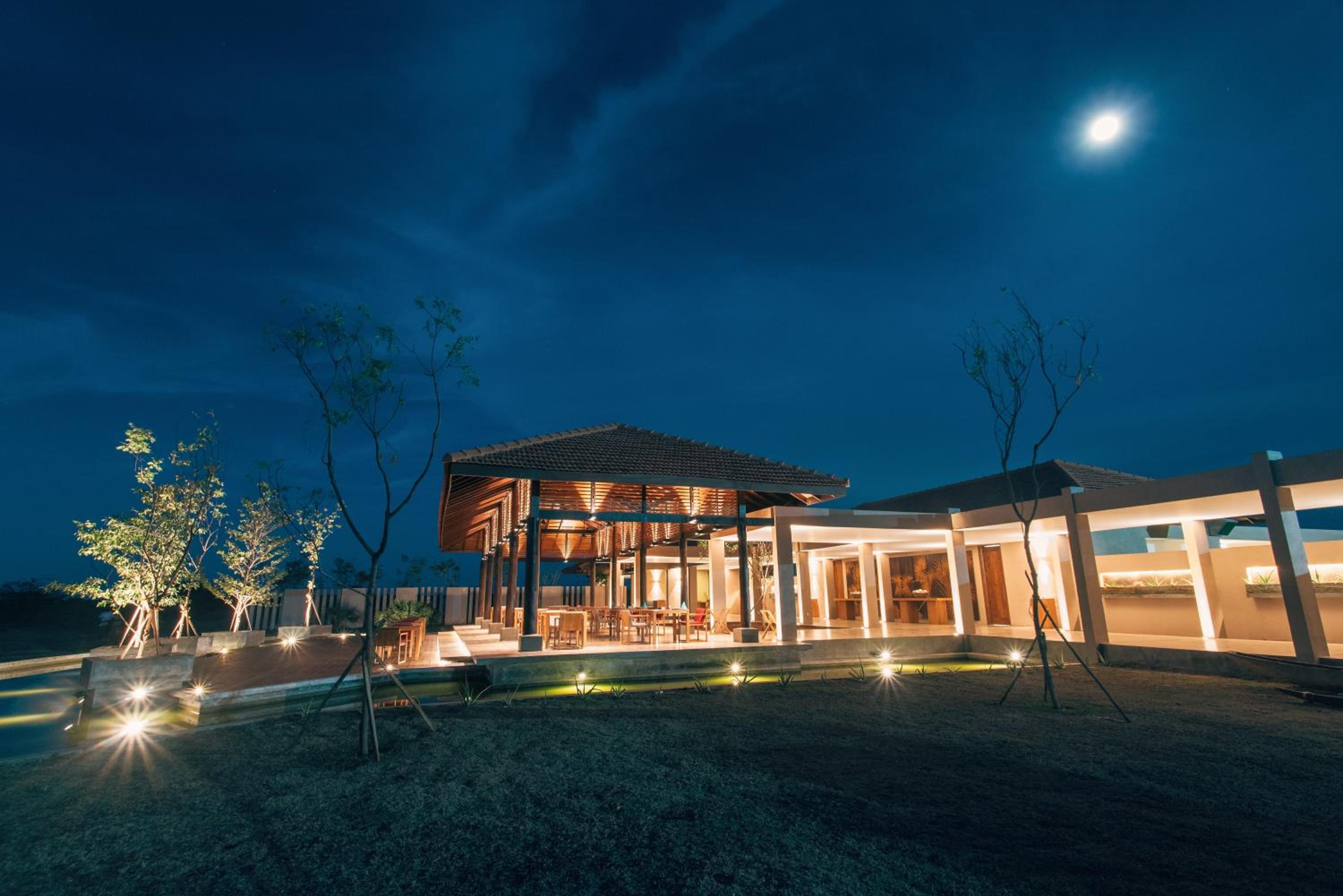 The Palmyrah House
